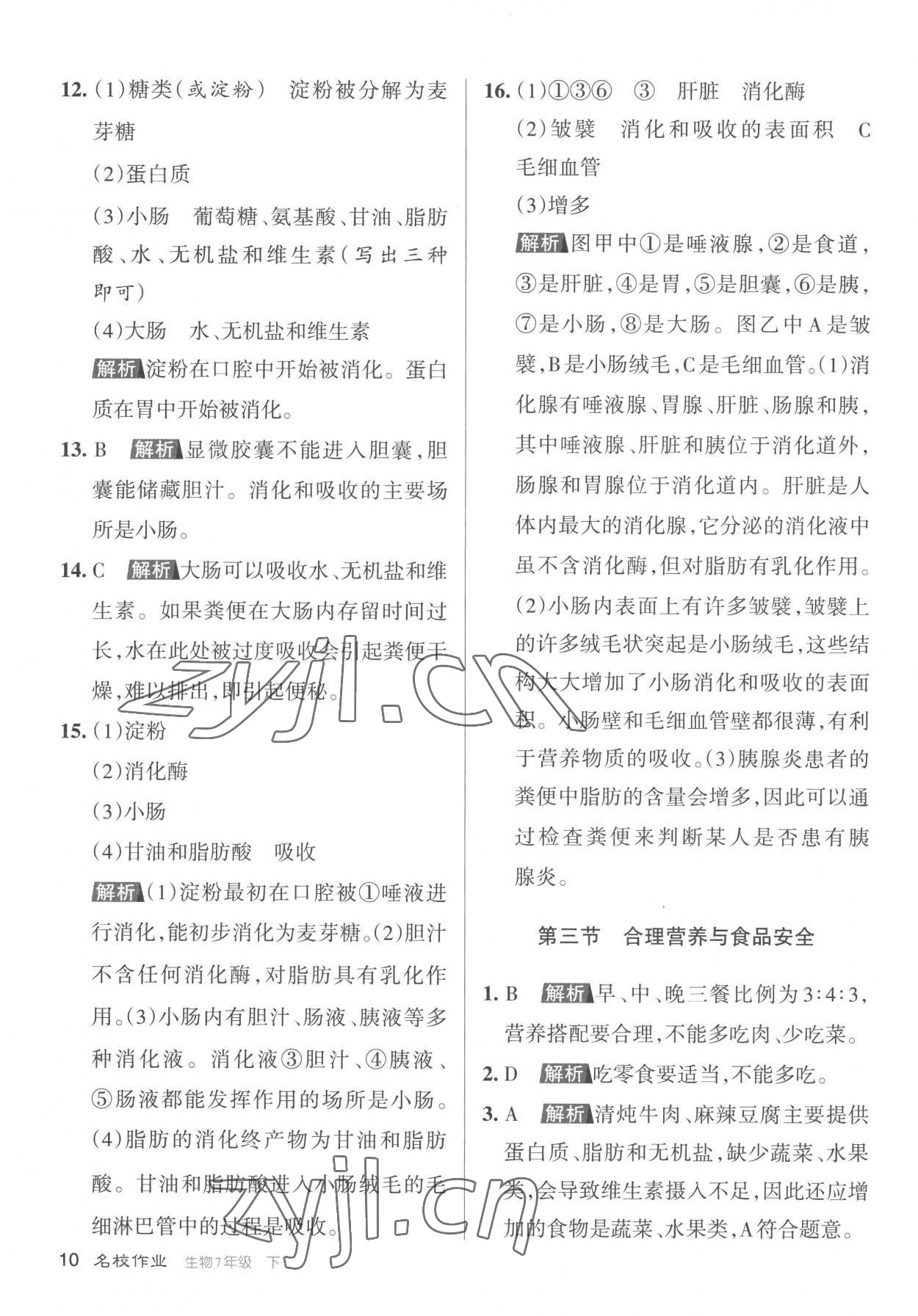 2023年名校作業七年級生物下冊人教版山西專版 參考答案第10頁