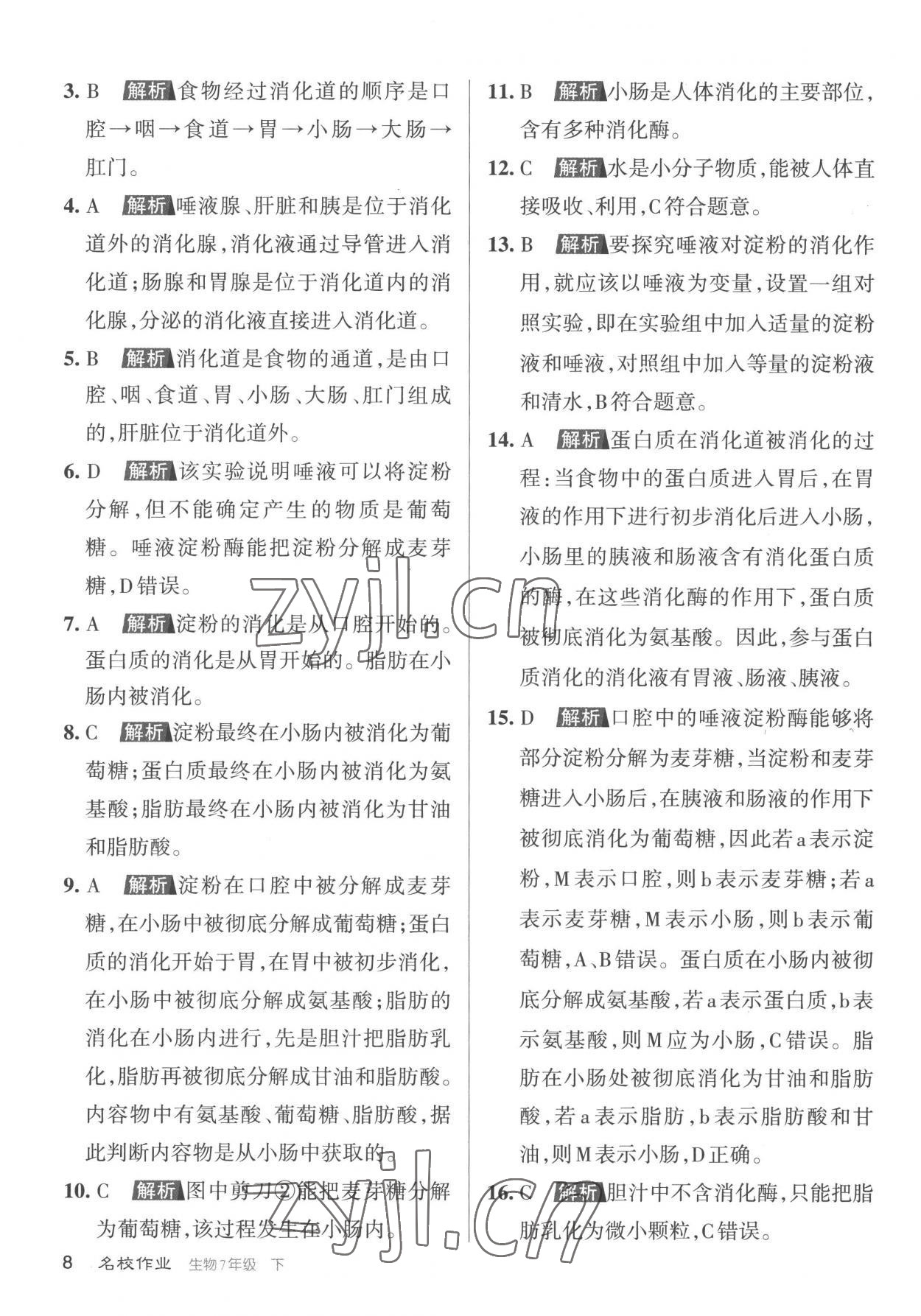 2023年名校作業七年級生物下冊人教版山西專版 參考答案第8頁