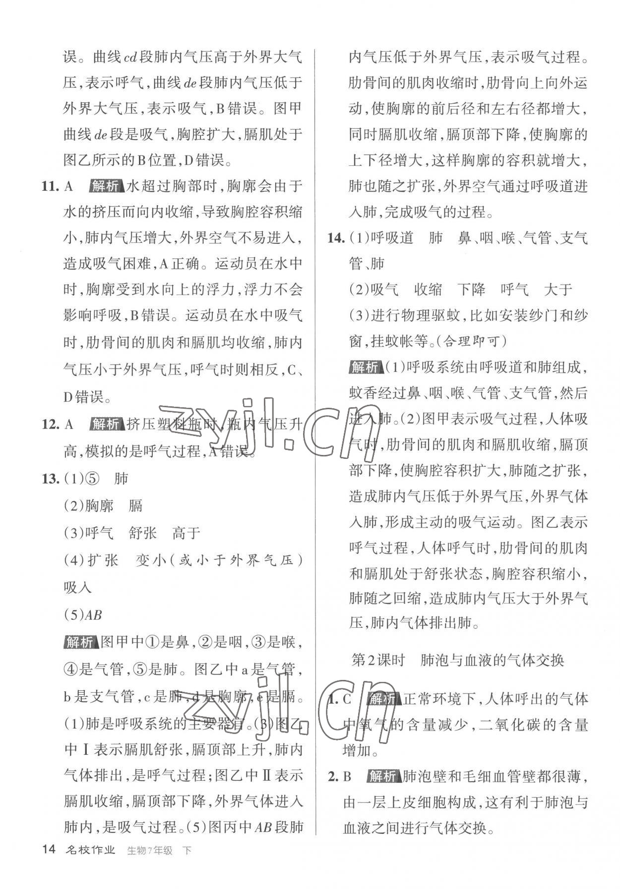 2023年名校作業七年級生物下冊人教版山西專版 參考答案第14頁