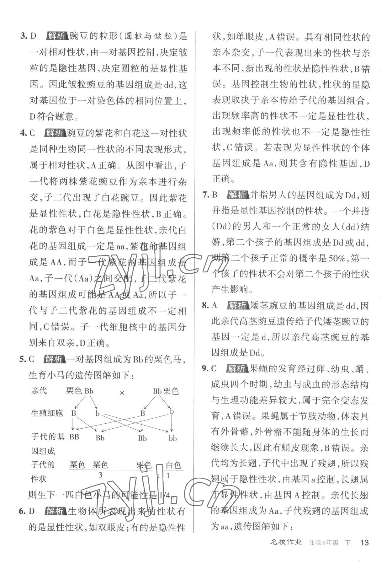 2023年名校作業(yè)八年級(jí)生物下冊(cè)人教版山西專版 參考答案第13頁