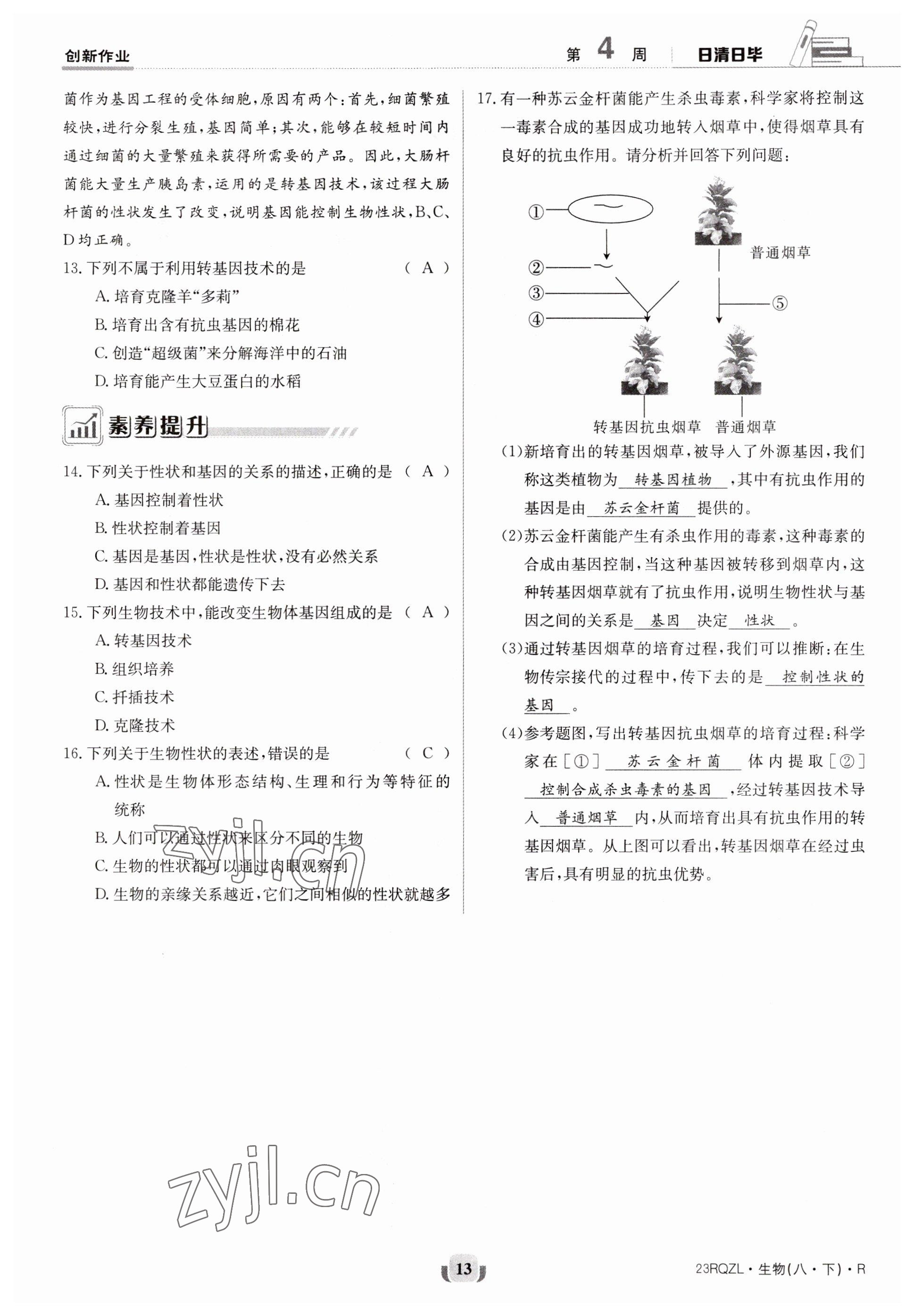 2023年日清周練八年級生物下冊人教版 參考答案第13頁