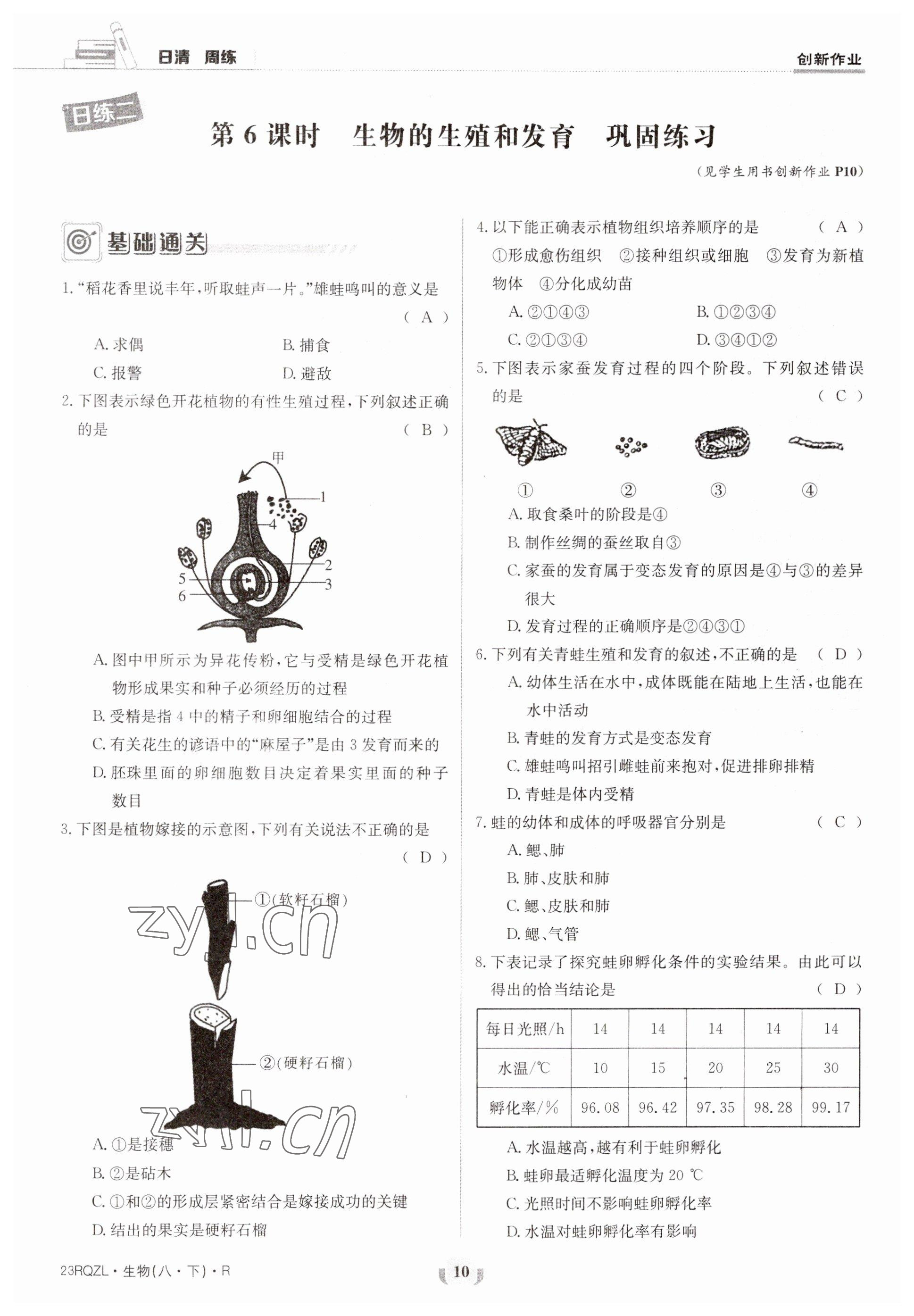 2023年日清周練八年級生物下冊人教版 參考答案第10頁