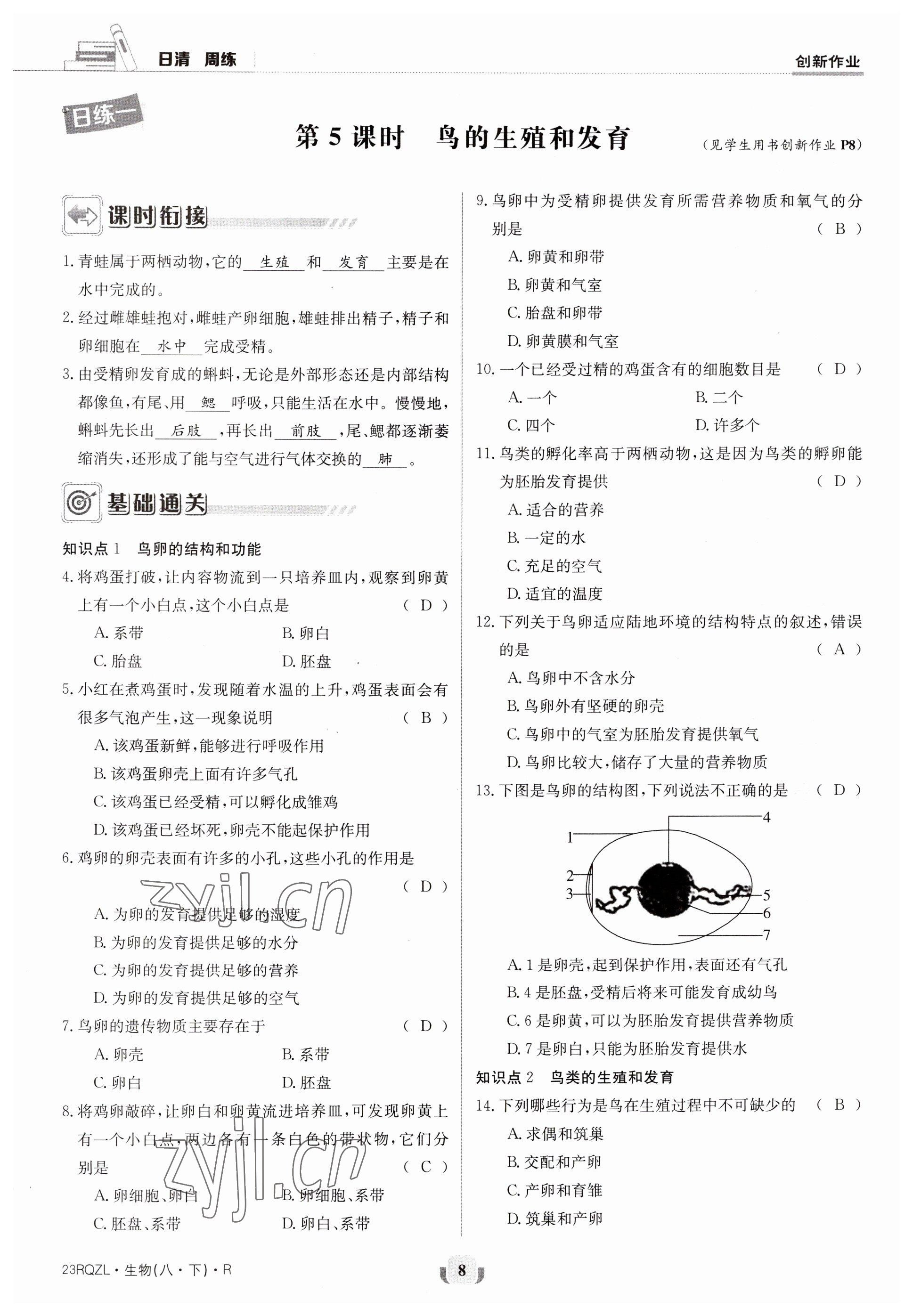 2023年日清周練八年級(jí)生物下冊(cè)人教版 參考答案第8頁(yè)