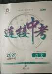 2023年連接中考語文福建專版