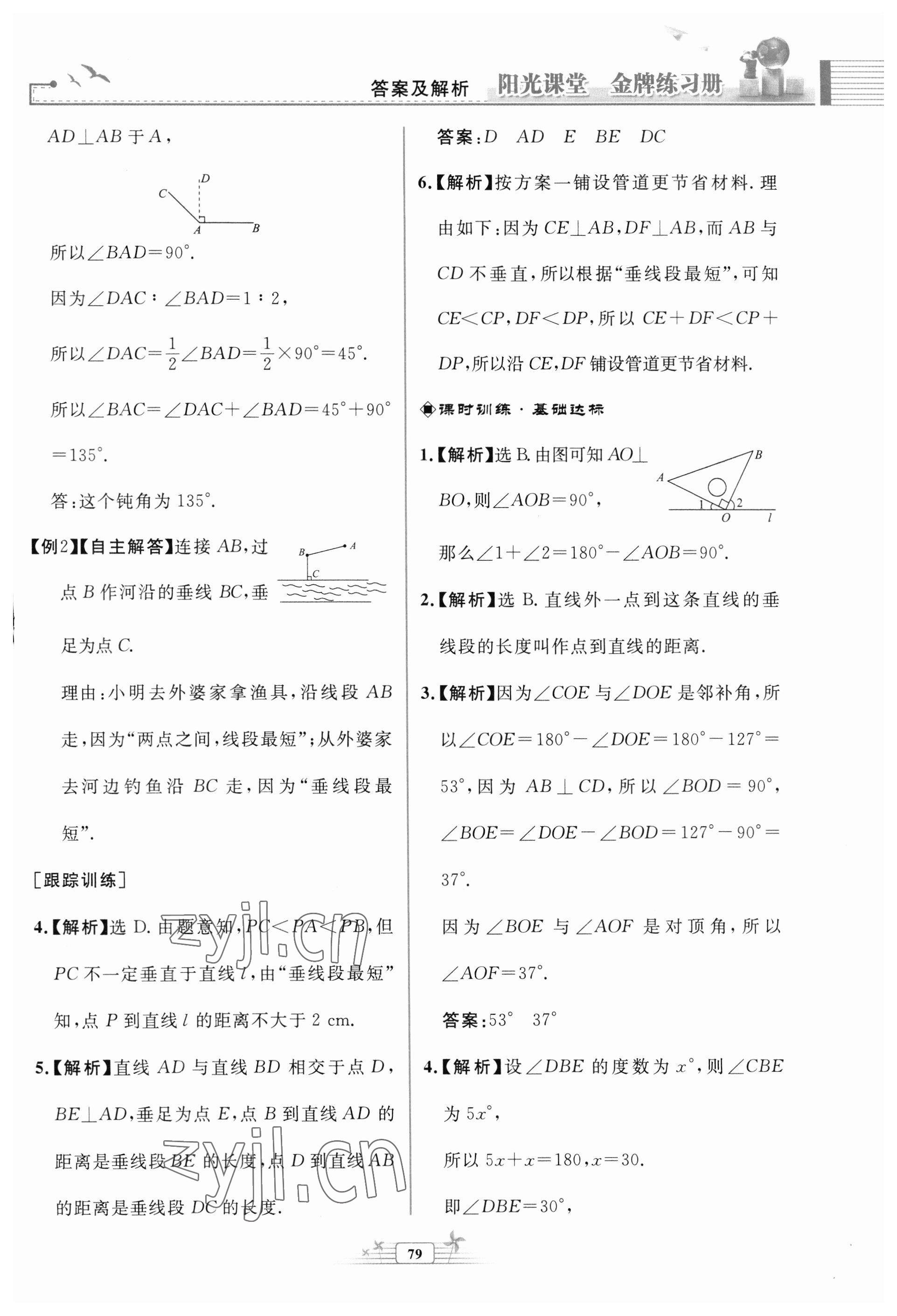 2023年阳光课堂金牌练习册七年级数学下册人教版福建专版 第3页