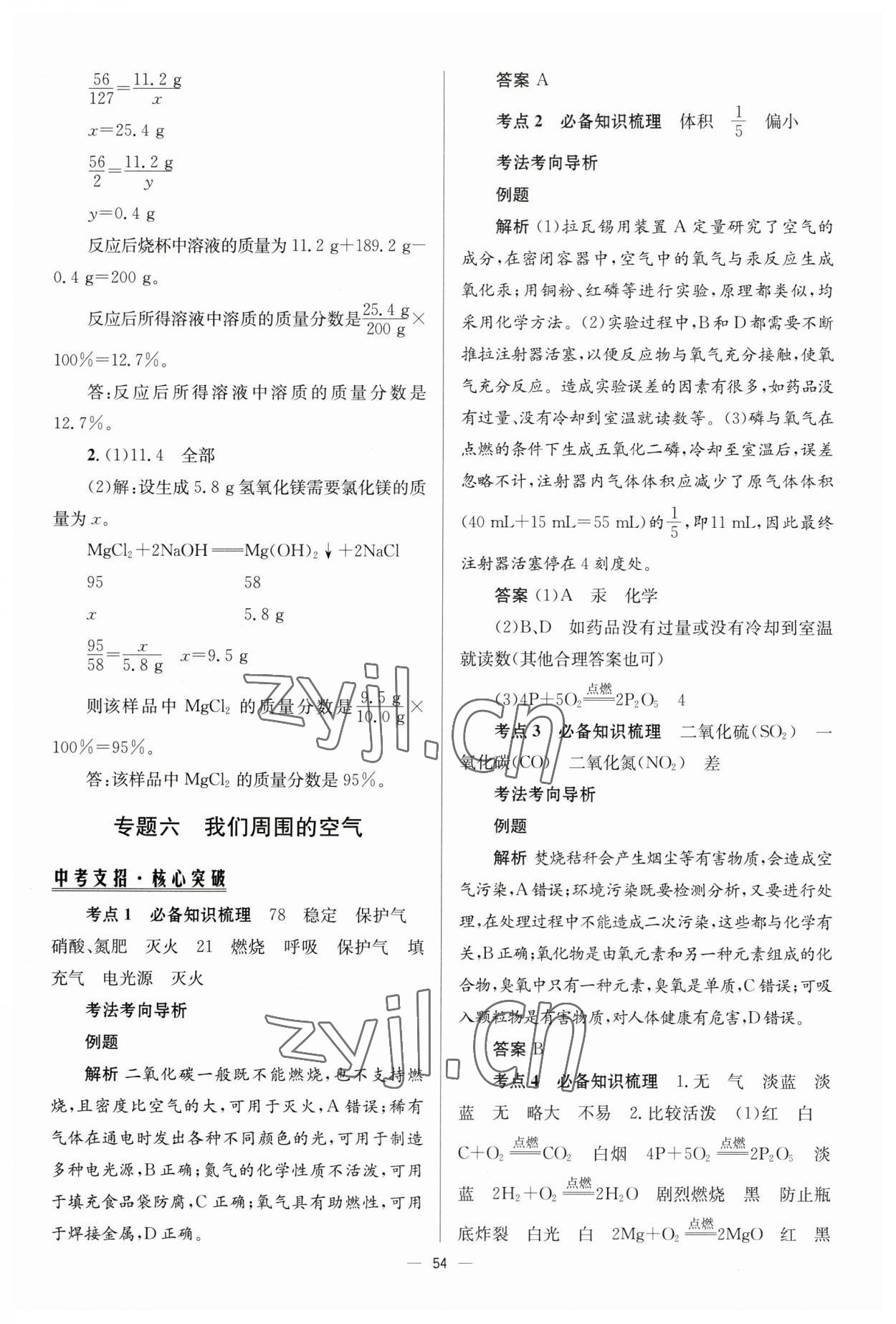 2023年初中总复习手册北京师范大学出版社化学 第8页