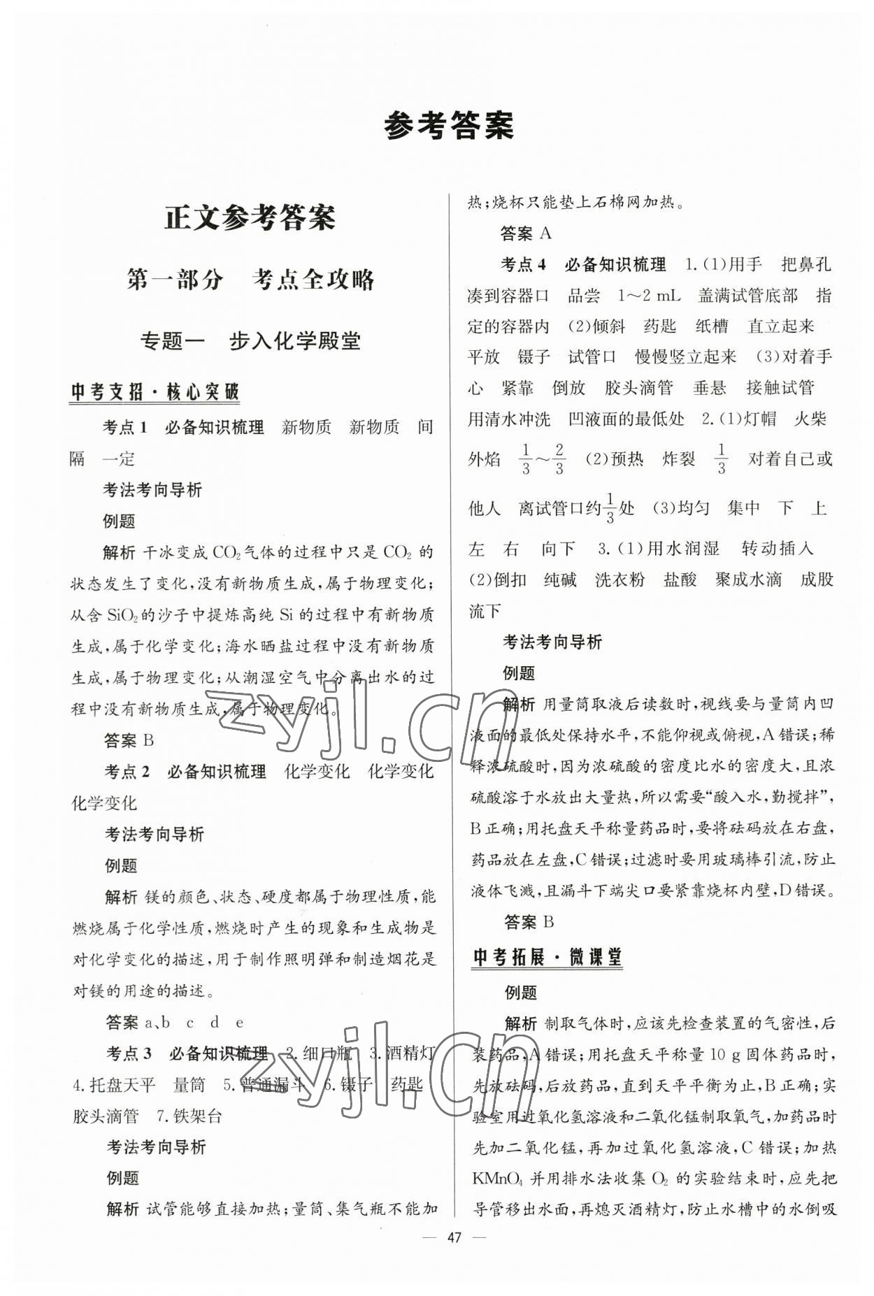 2023年初中總復(fù)習(xí)手冊北京師范大學(xué)出版社化學(xué) 第1頁