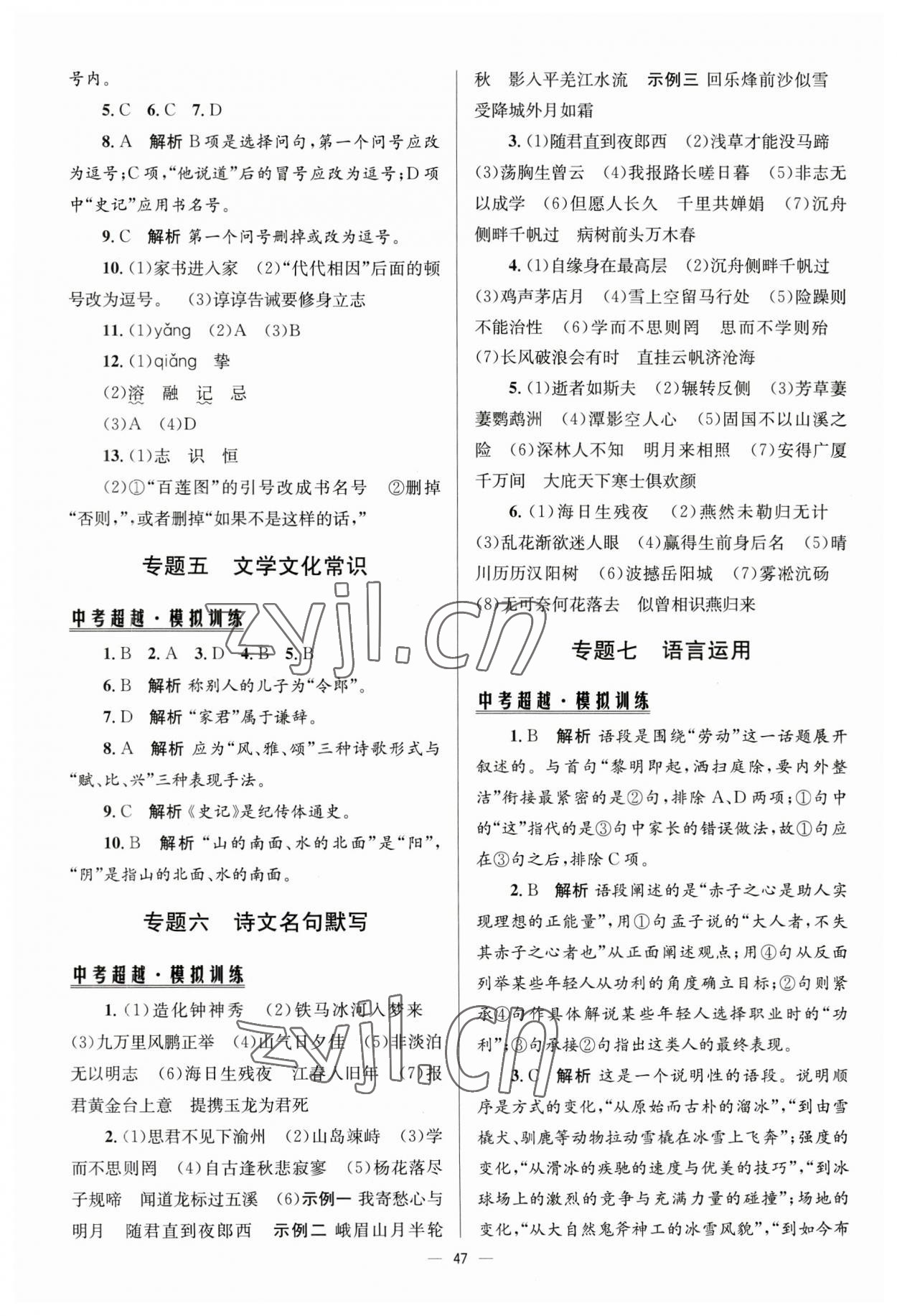 2023年初中總復(fù)習(xí)手冊(cè)北京師范大學(xué)出版社語(yǔ)文 第3頁(yè)