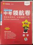 2023年金考卷百校聯(lián)盟系列中考領(lǐng)航卷數(shù)學(xué)河南專版