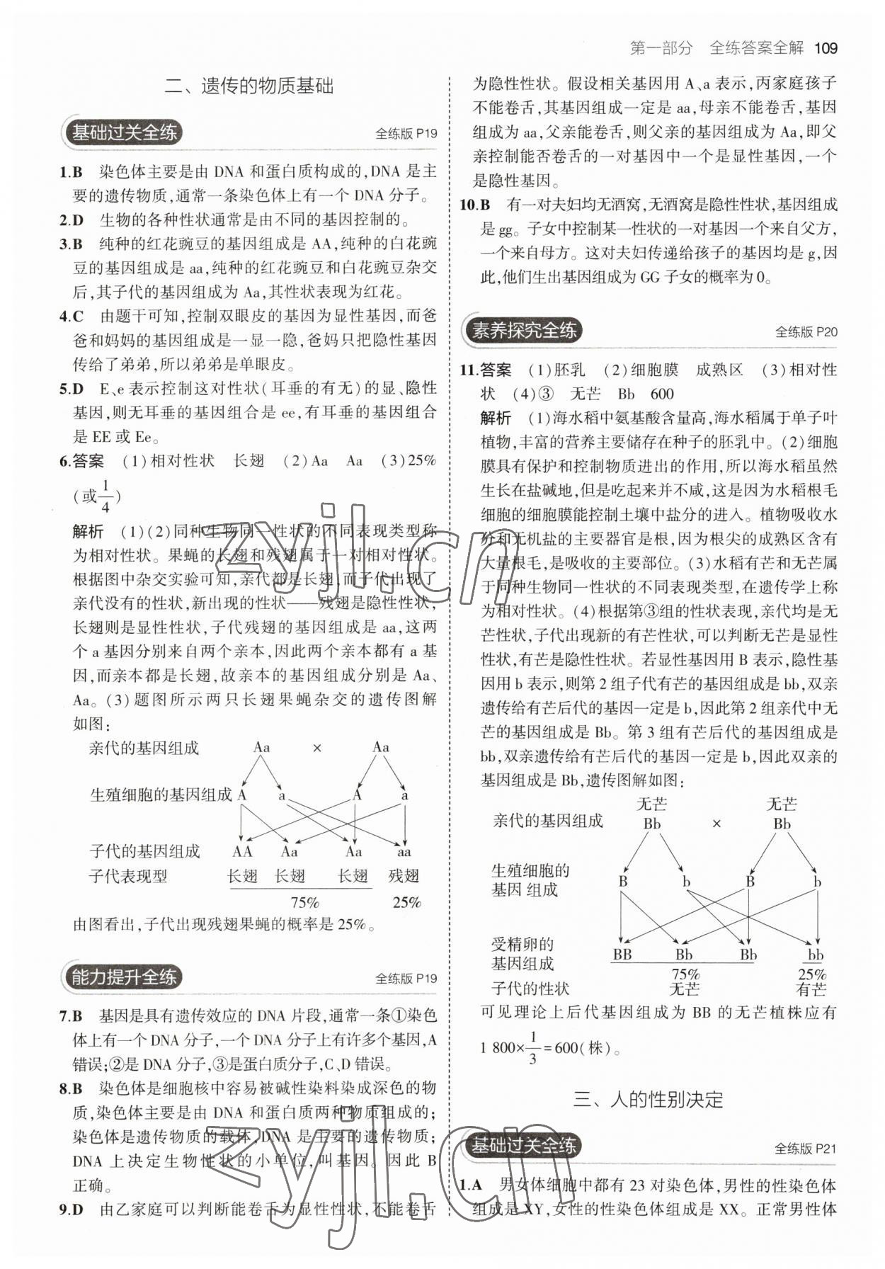 2023年5年中考3年模拟初中生物八年级下册冀少版 参考答案第7页