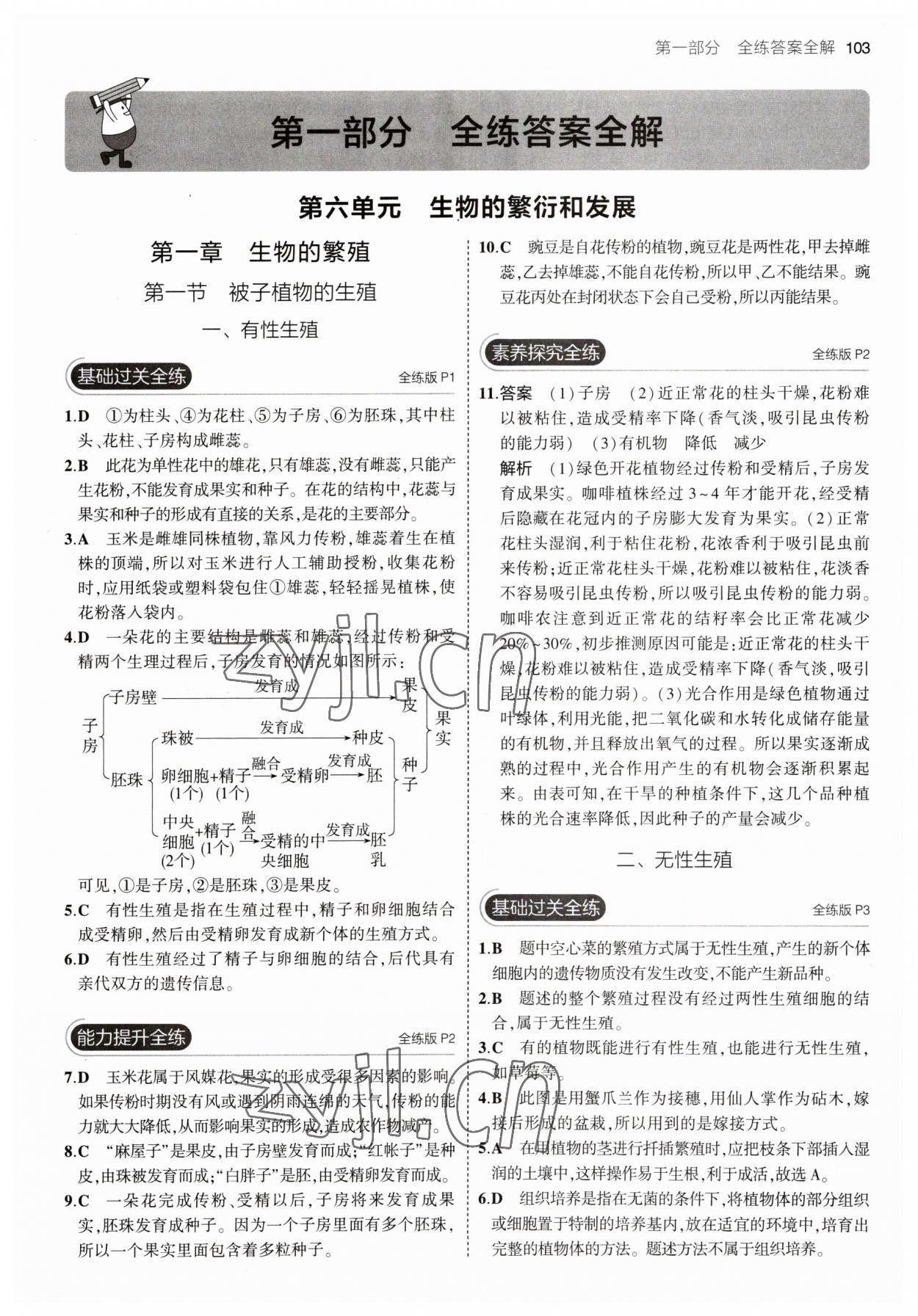 2023年5年中考3年模擬初中生物八年級下冊冀少版 參考答案第1頁