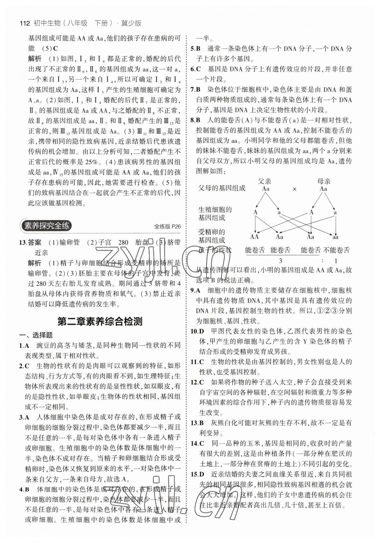 2023年5年中考3年模拟初中生物八年级下册冀少版 参考答案第10页