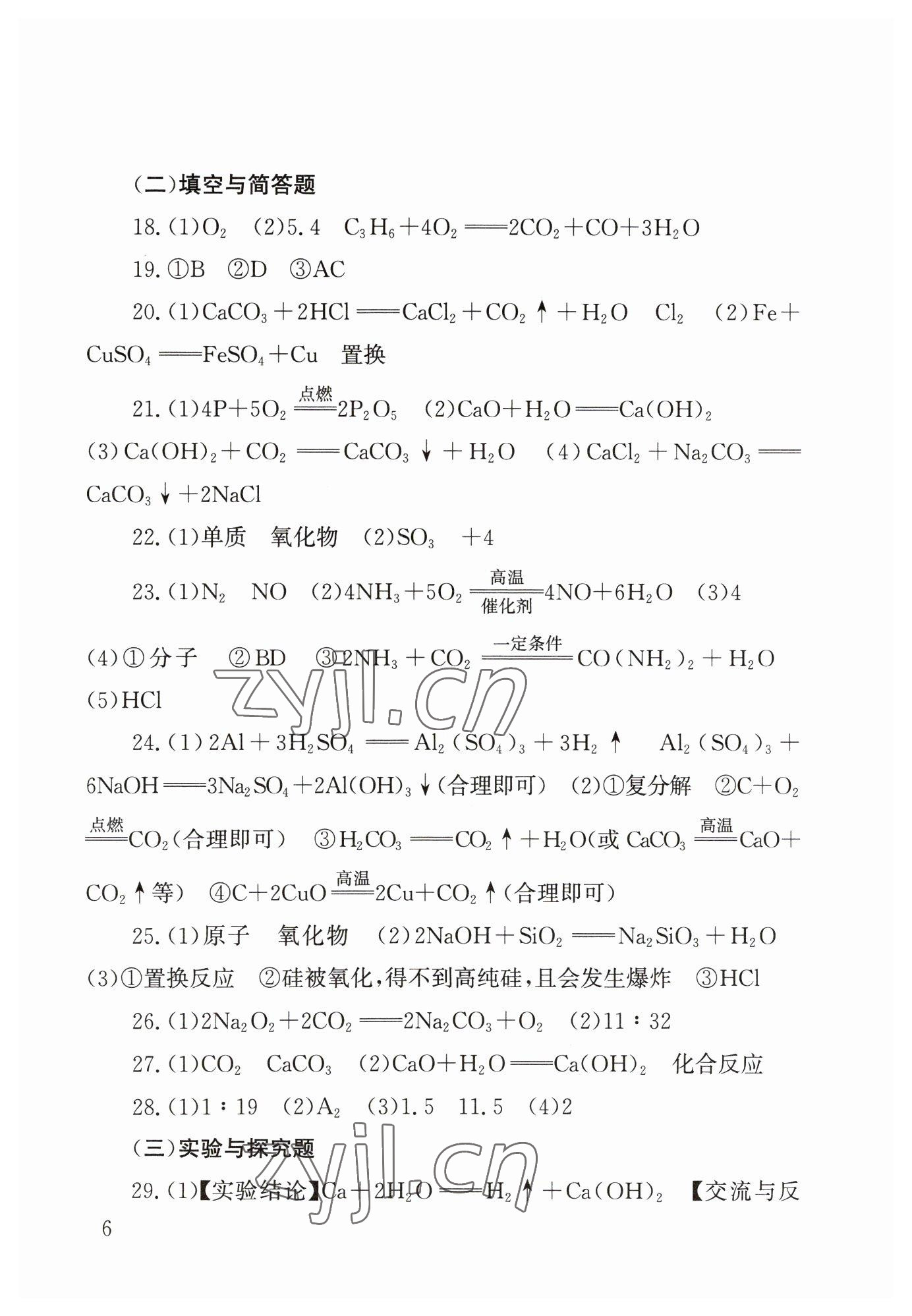 2023年劍指中考化學(xué)郴州專版 第6頁