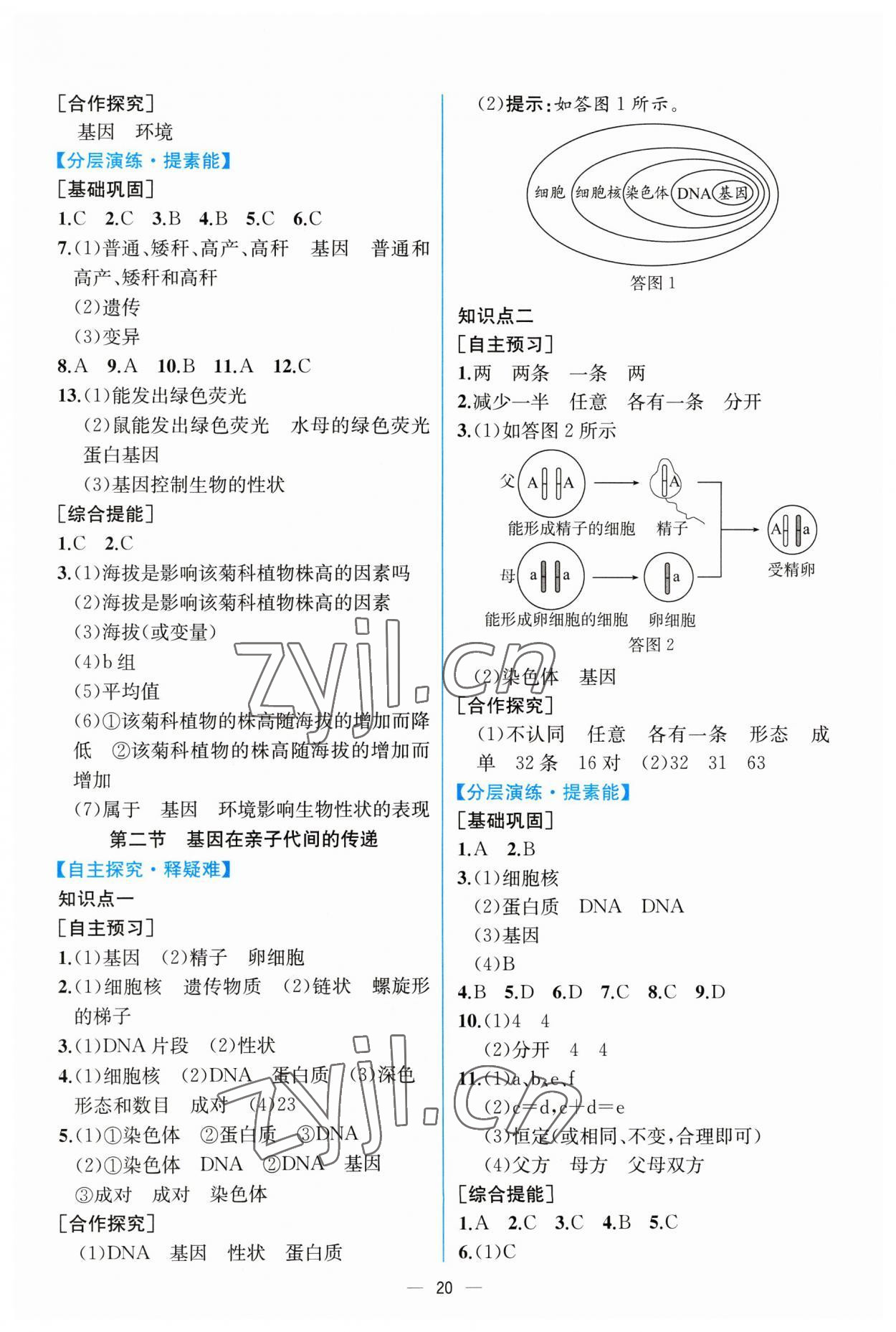 2023年同步导学案课时练八年级生物下册人教版 第4页