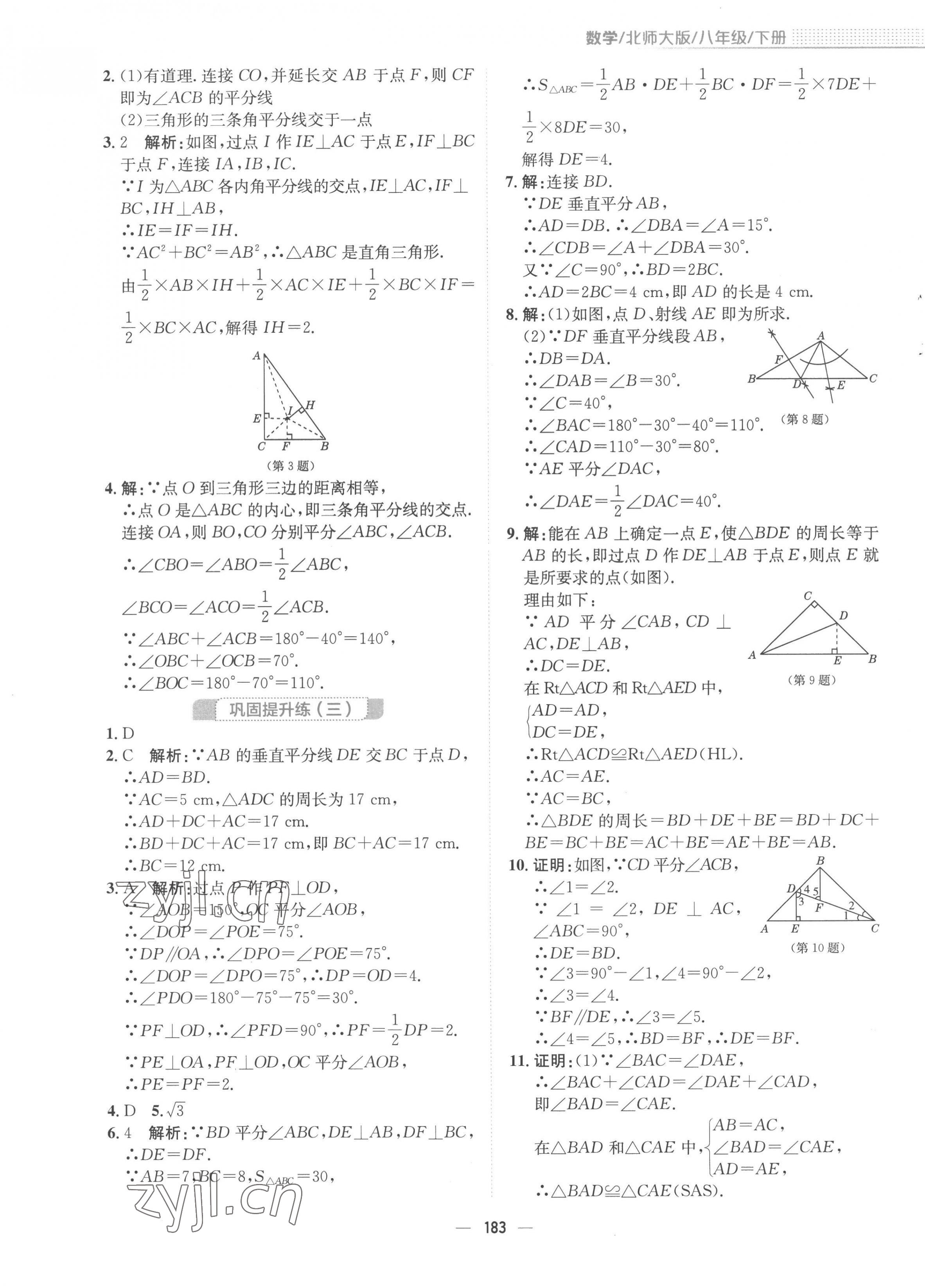 2023年新編基礎(chǔ)訓(xùn)練八年級數(shù)學(xué)下冊北師大版 第11頁