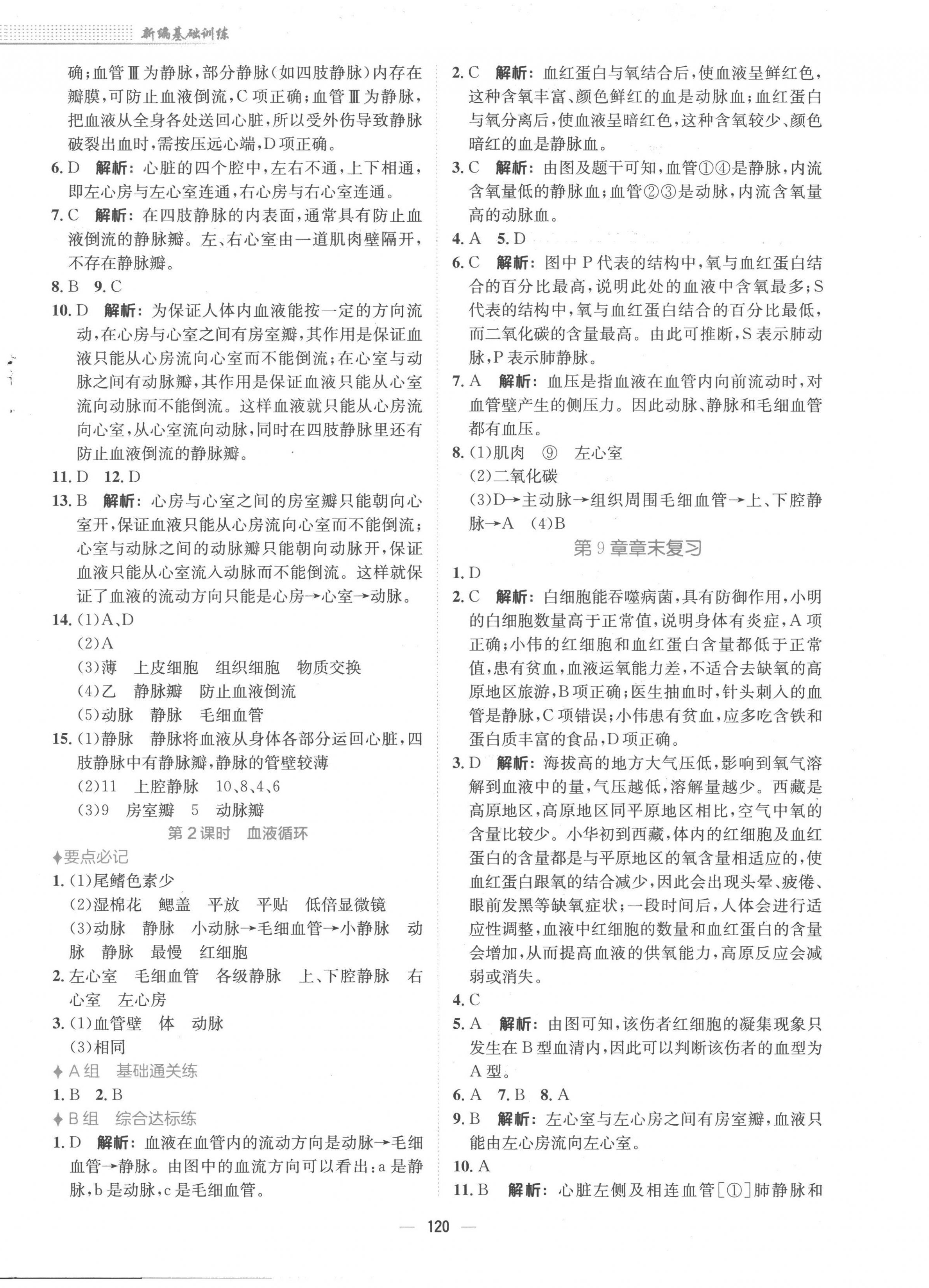 2023年新編基礎(chǔ)訓練七年級生物下冊北師大版 第4頁