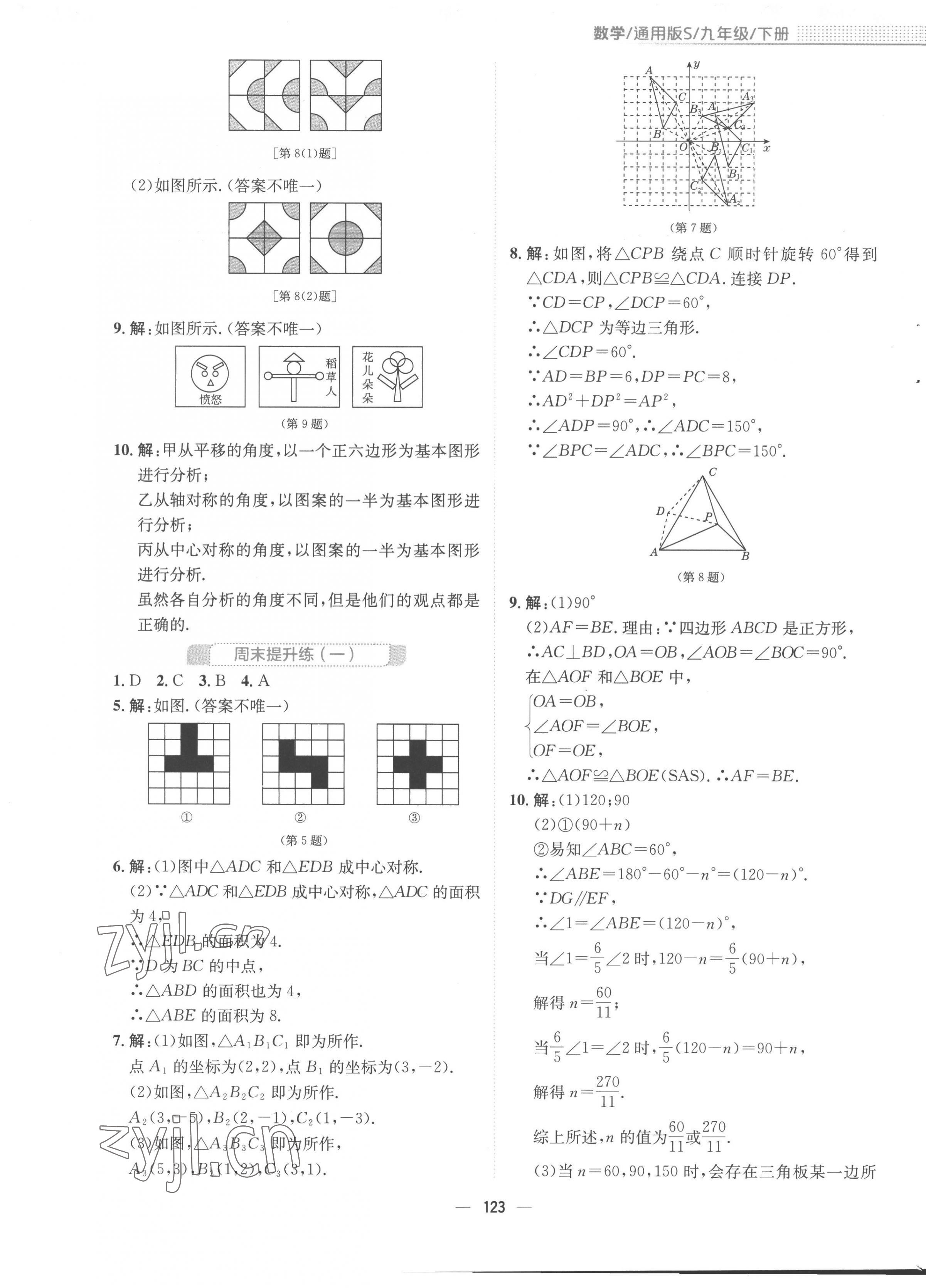 2023年新编基础训练九年级数学下册通用S版 第3页