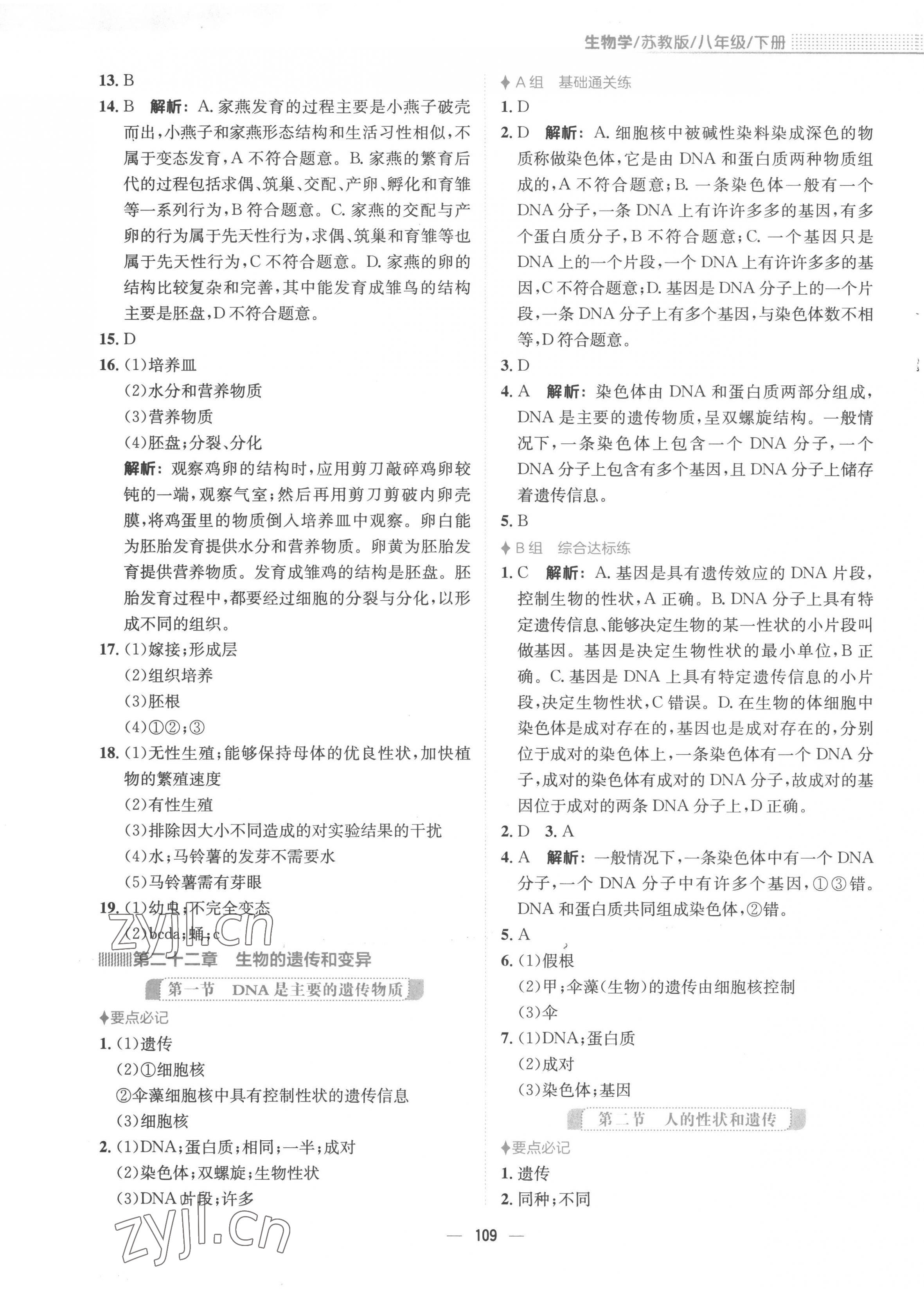 2023年新編基礎(chǔ)訓(xùn)練八年級(jí)生物下冊蘇教版 第5頁