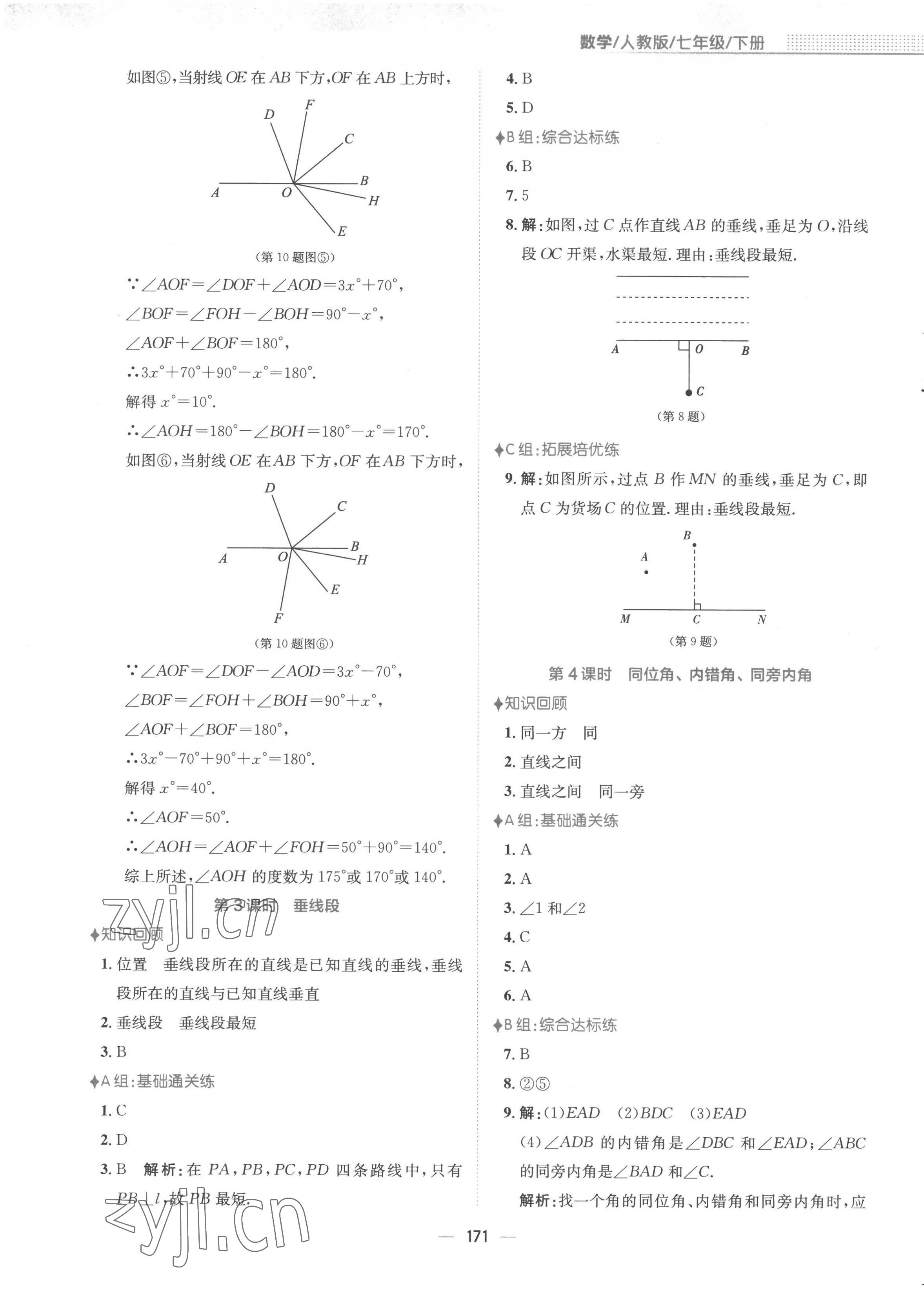 2023年新編基礎(chǔ)訓(xùn)練七年級數(shù)學(xué)下冊人教版 第3頁