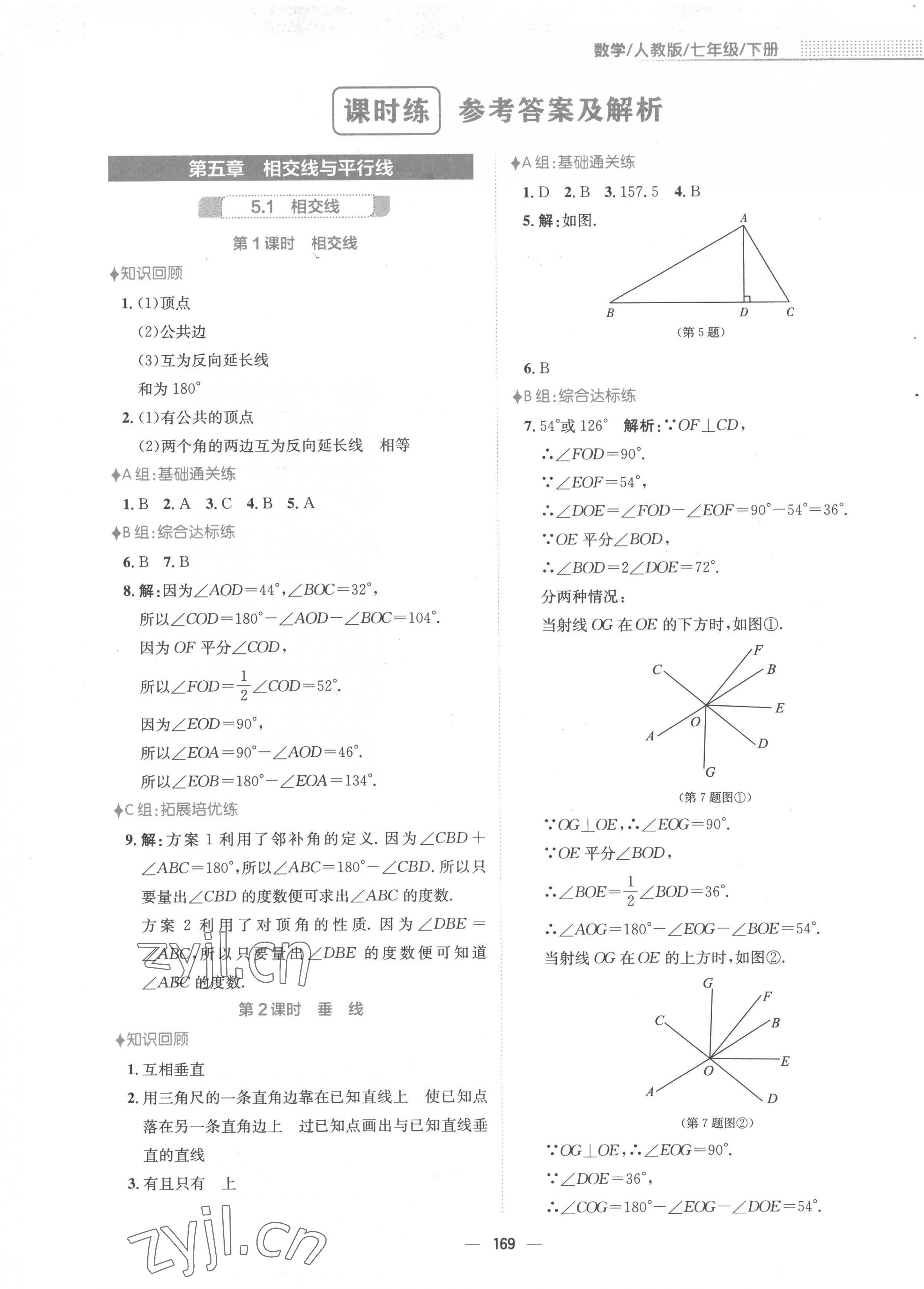 2023年新编基础训练七年级数学下册人教版 第1页