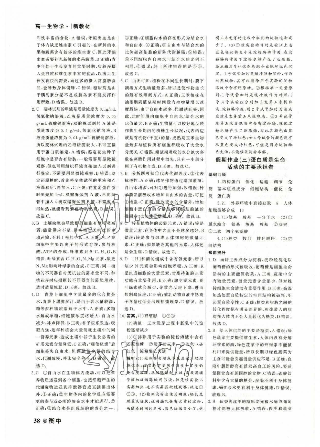 2023年衡水金卷衡中假期高一生物 第2頁(yè)