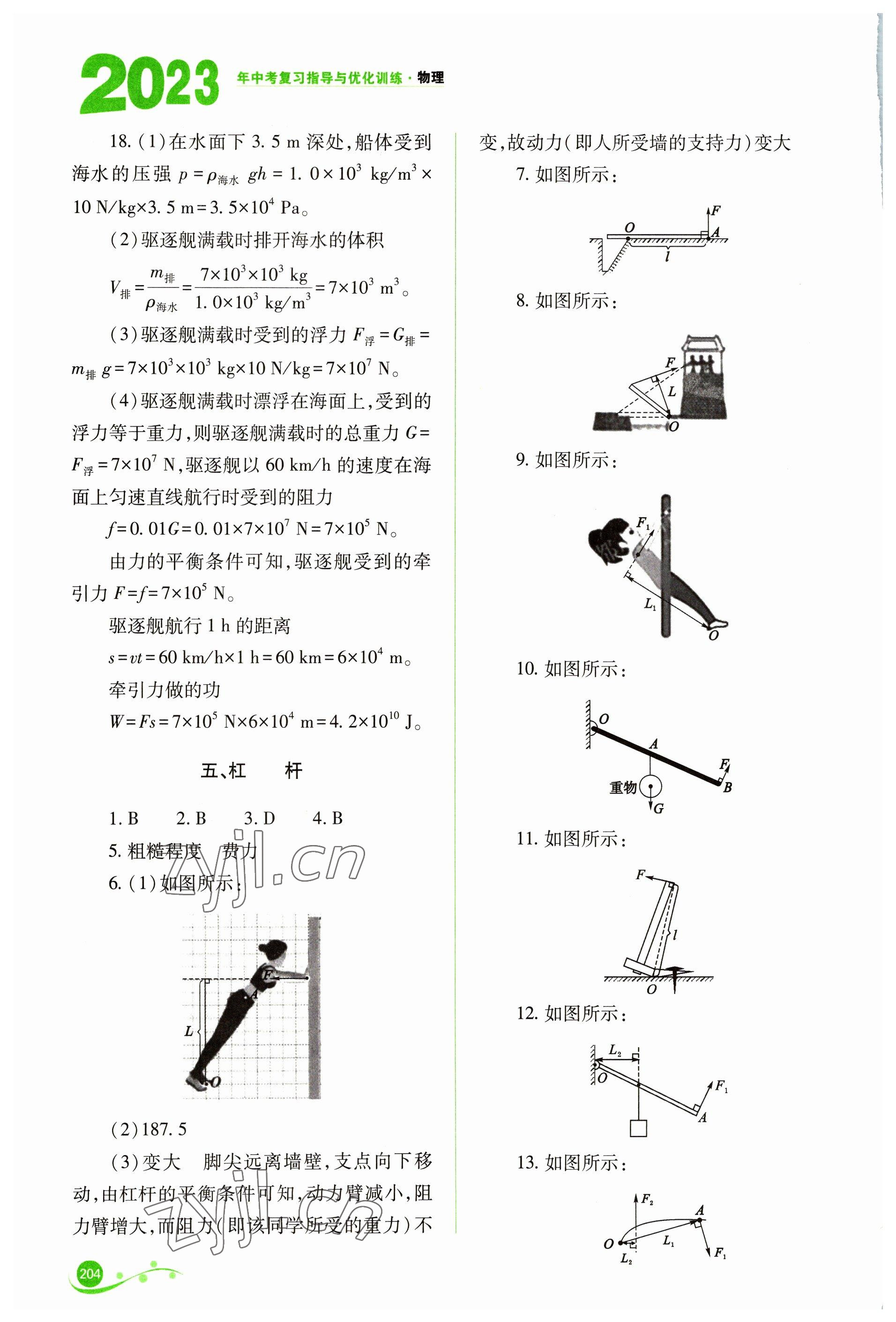 2023年中考復(fù)習(xí)指導(dǎo)與優(yōu)化訓(xùn)練物理 第6頁