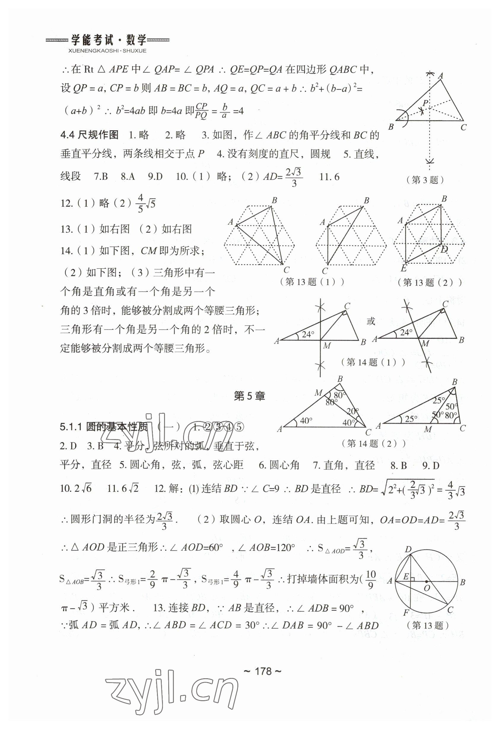 2023年初中总复习教学指导数学 参考答案第8页