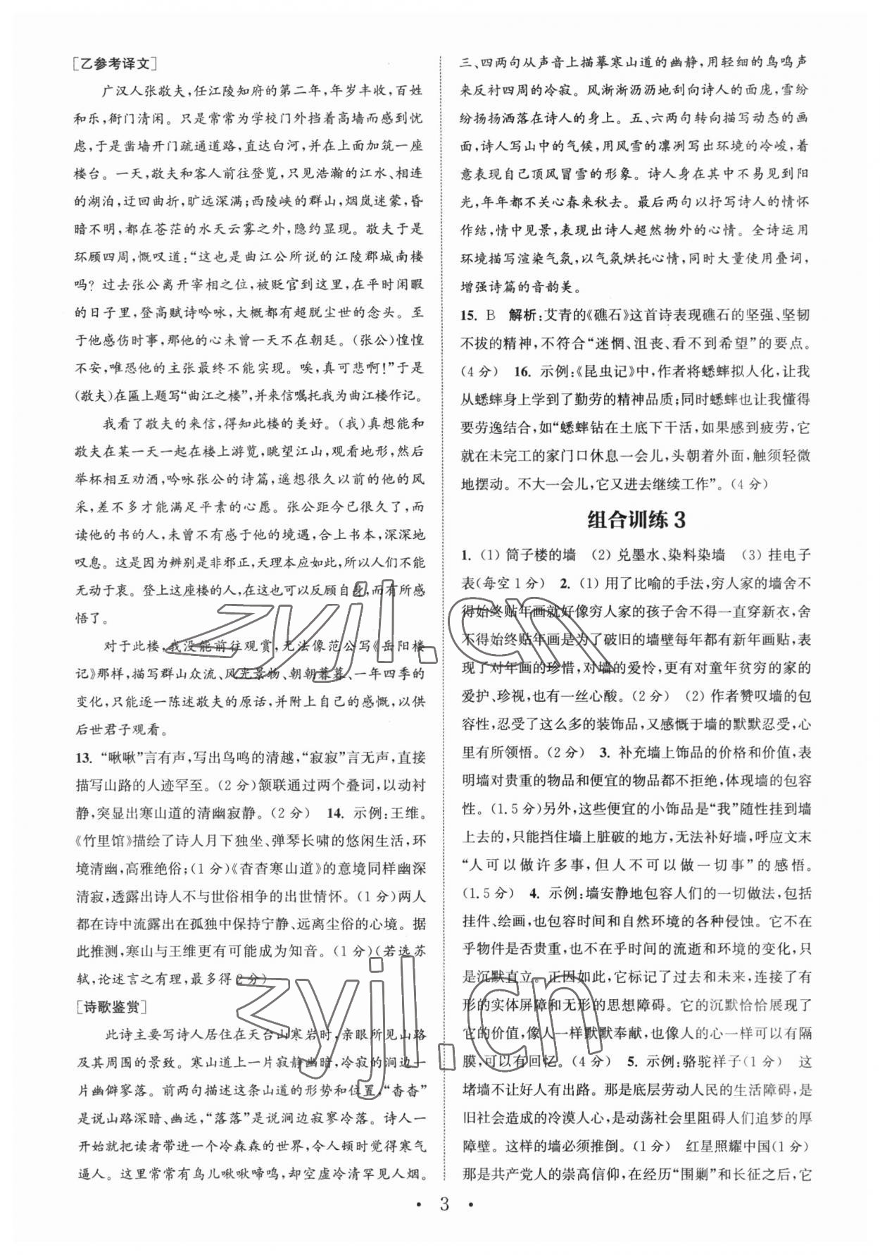 2023年通城學(xué)典初中語(yǔ)文閱讀組合訓(xùn)練中考版浙江專版 第3頁(yè)