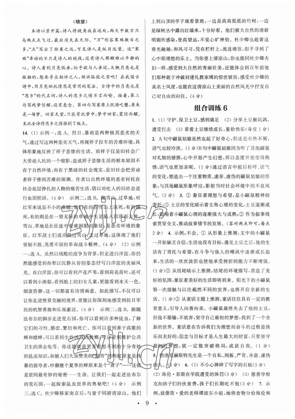 2023年通城學(xué)典初中語文閱讀組合訓(xùn)練中考版浙江專版 第9頁