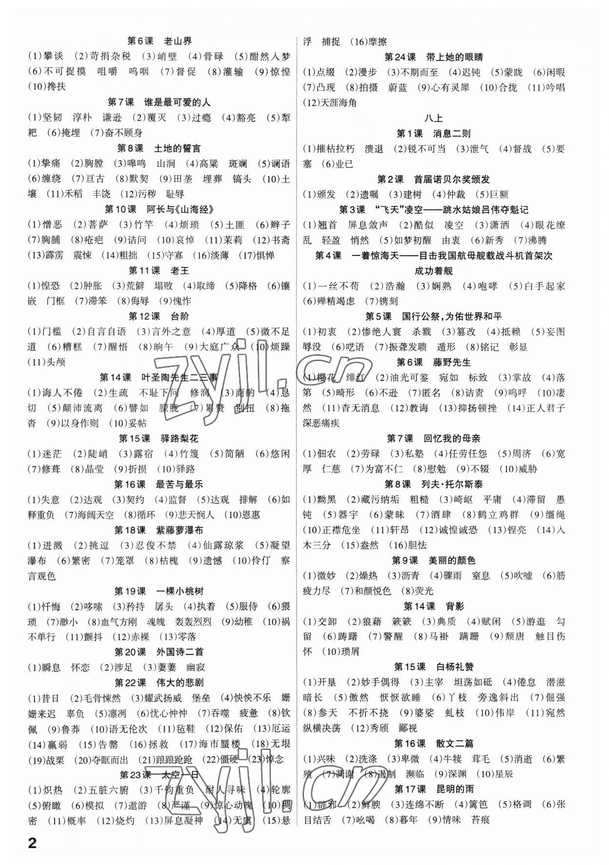 2023年滾動(dòng)遷移中考總復(fù)習(xí)語(yǔ)文廣東專版 第2頁(yè)