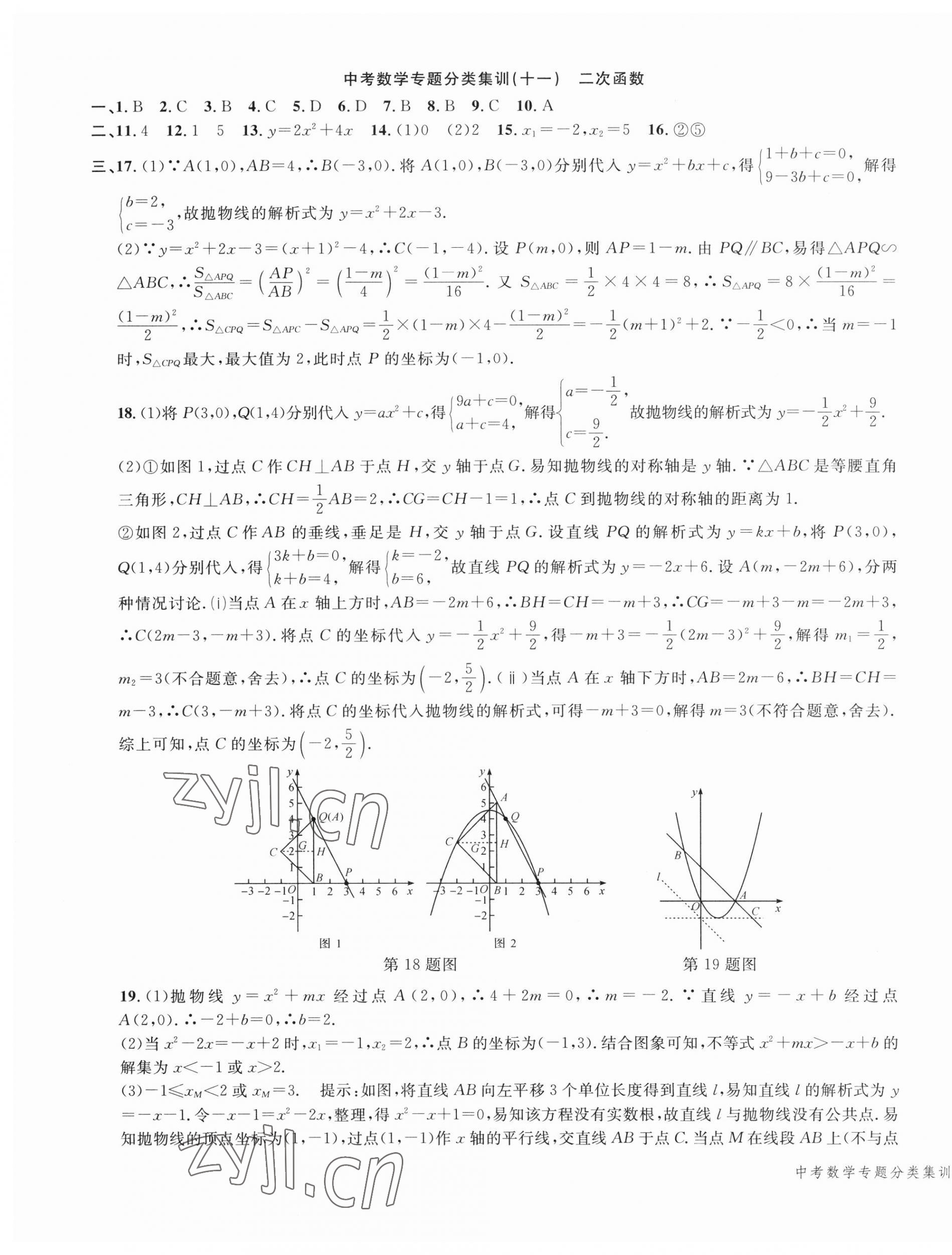 2023年學(xué)而優(yōu)中考專題分類集訓(xùn)南京大學(xué)出版社數(shù)學(xué)浙江專版 第11頁