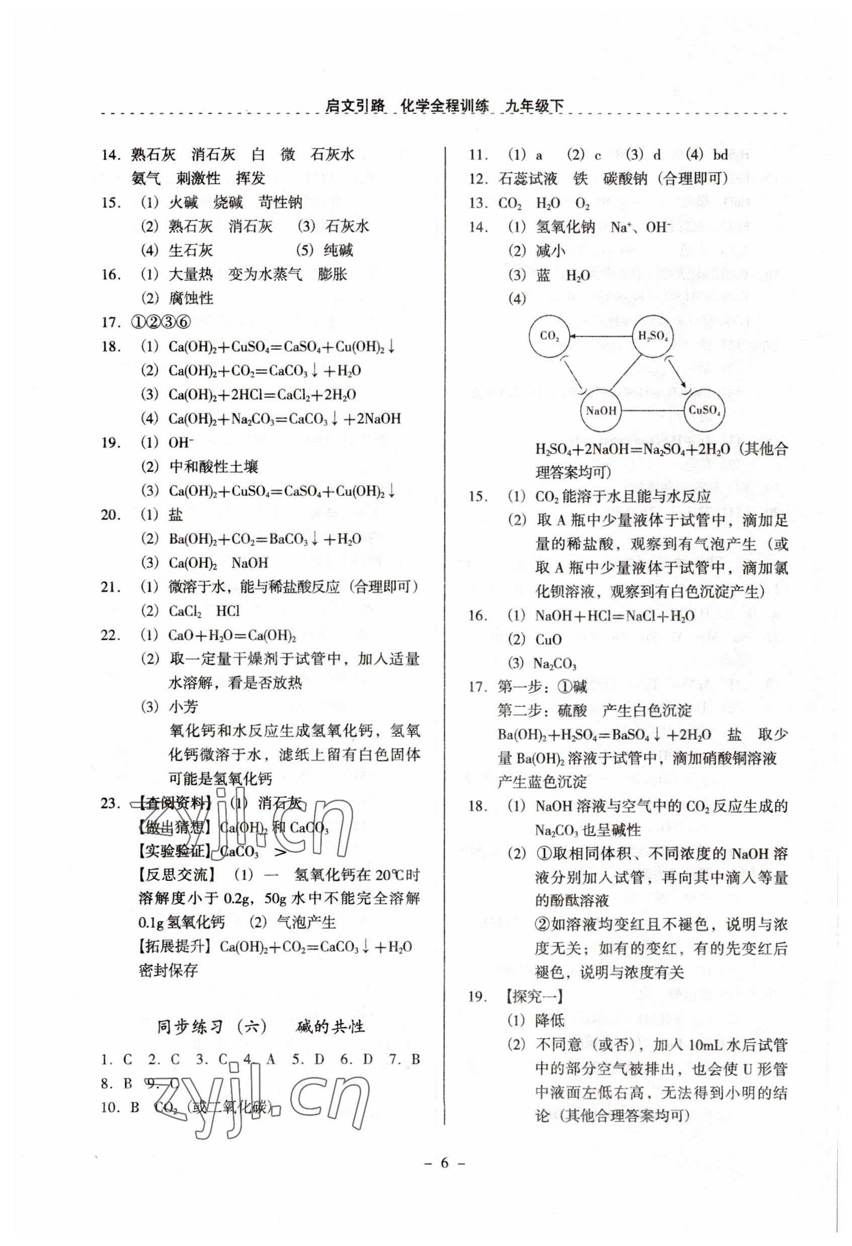 2023年启文引路九年级化学下册沪教版 参考答案第6页