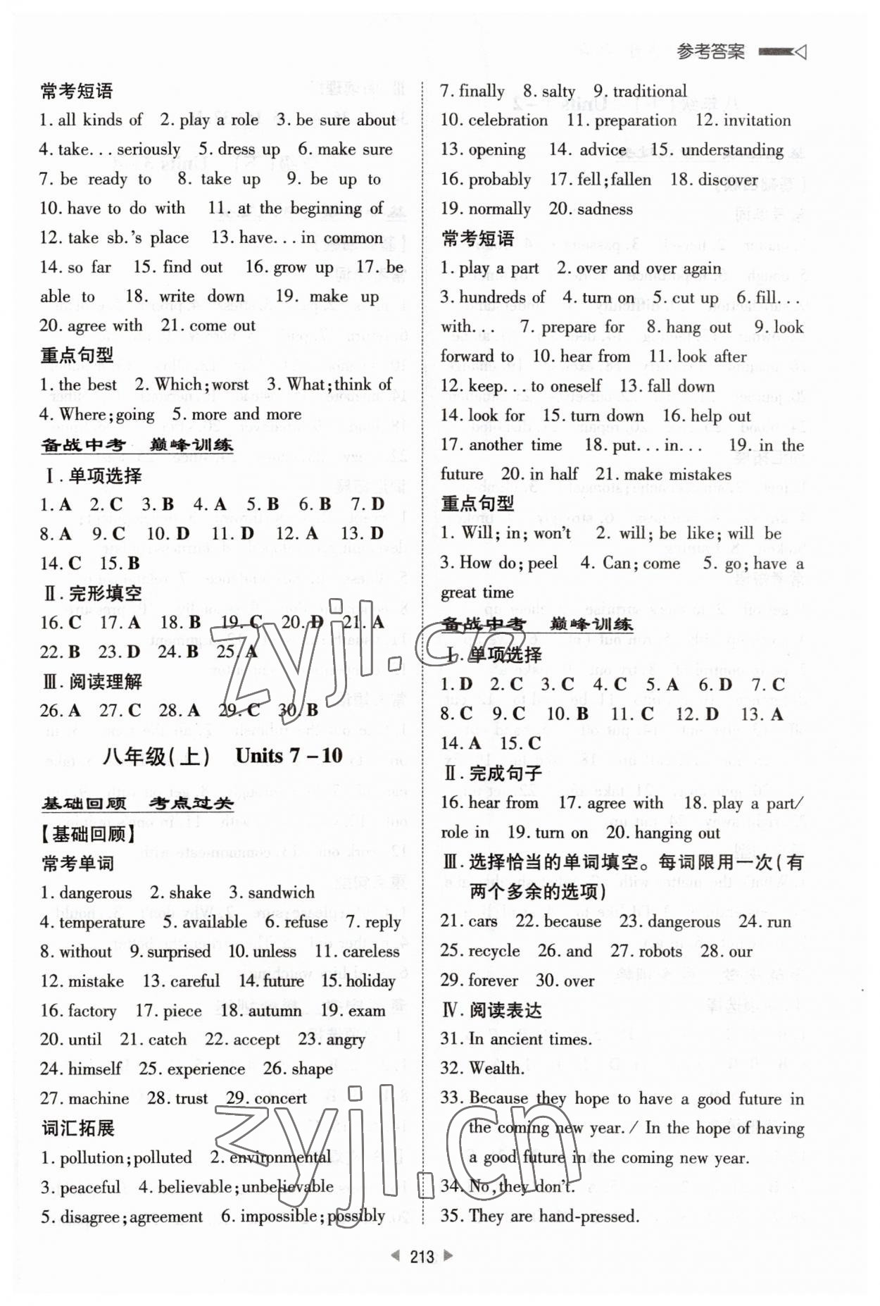 2023年初中總復(fù)習(xí)手冊新世紀出版社英語人教版 第5頁