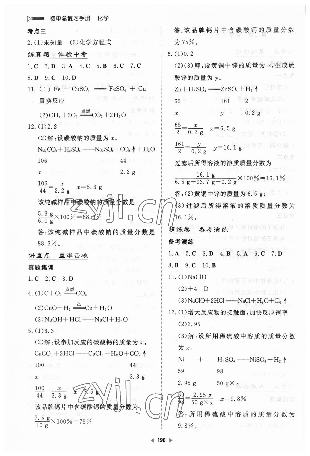 2023年初中总复习手册新世纪出版社化学 第6页