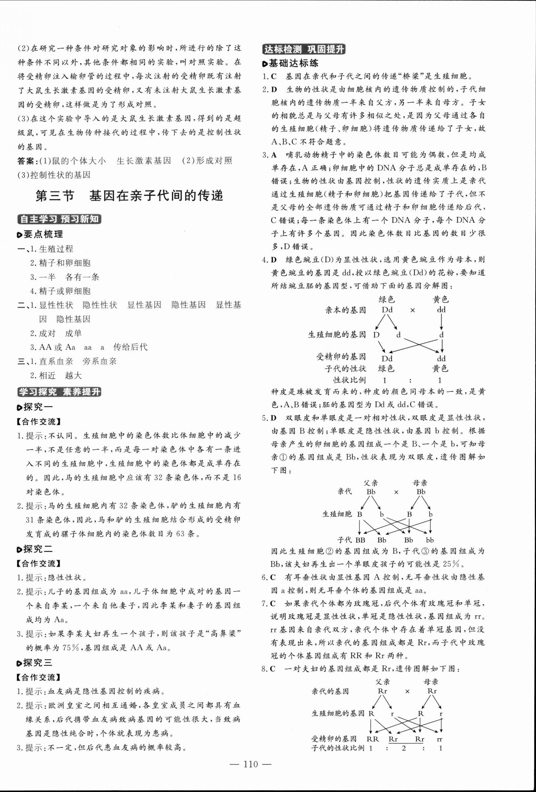 2023年練案八年級(jí)生物下冊(cè)魯科版54制 第6頁(yè)