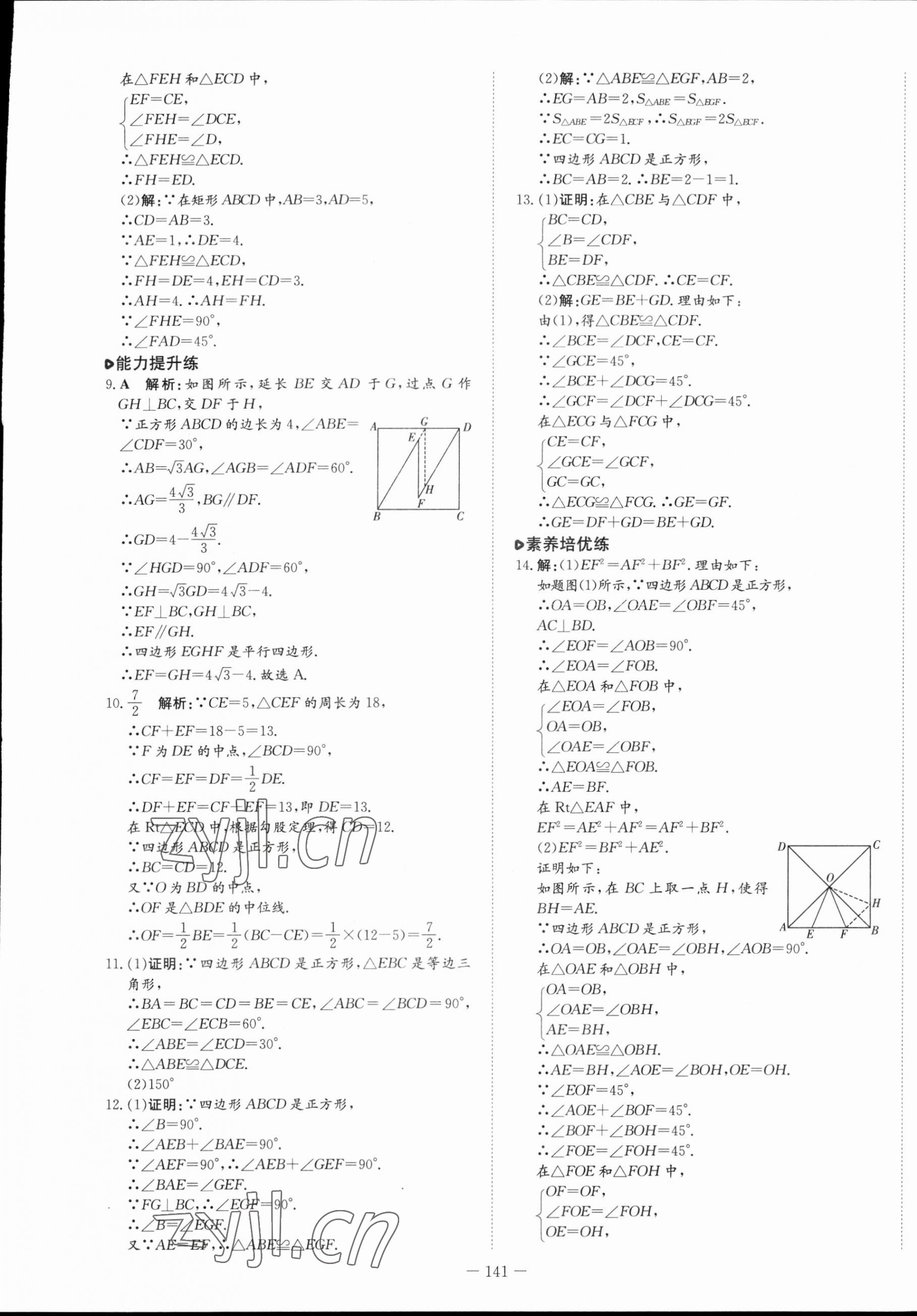 2023年練案八年級數(shù)學下冊魯教版54制 第9頁