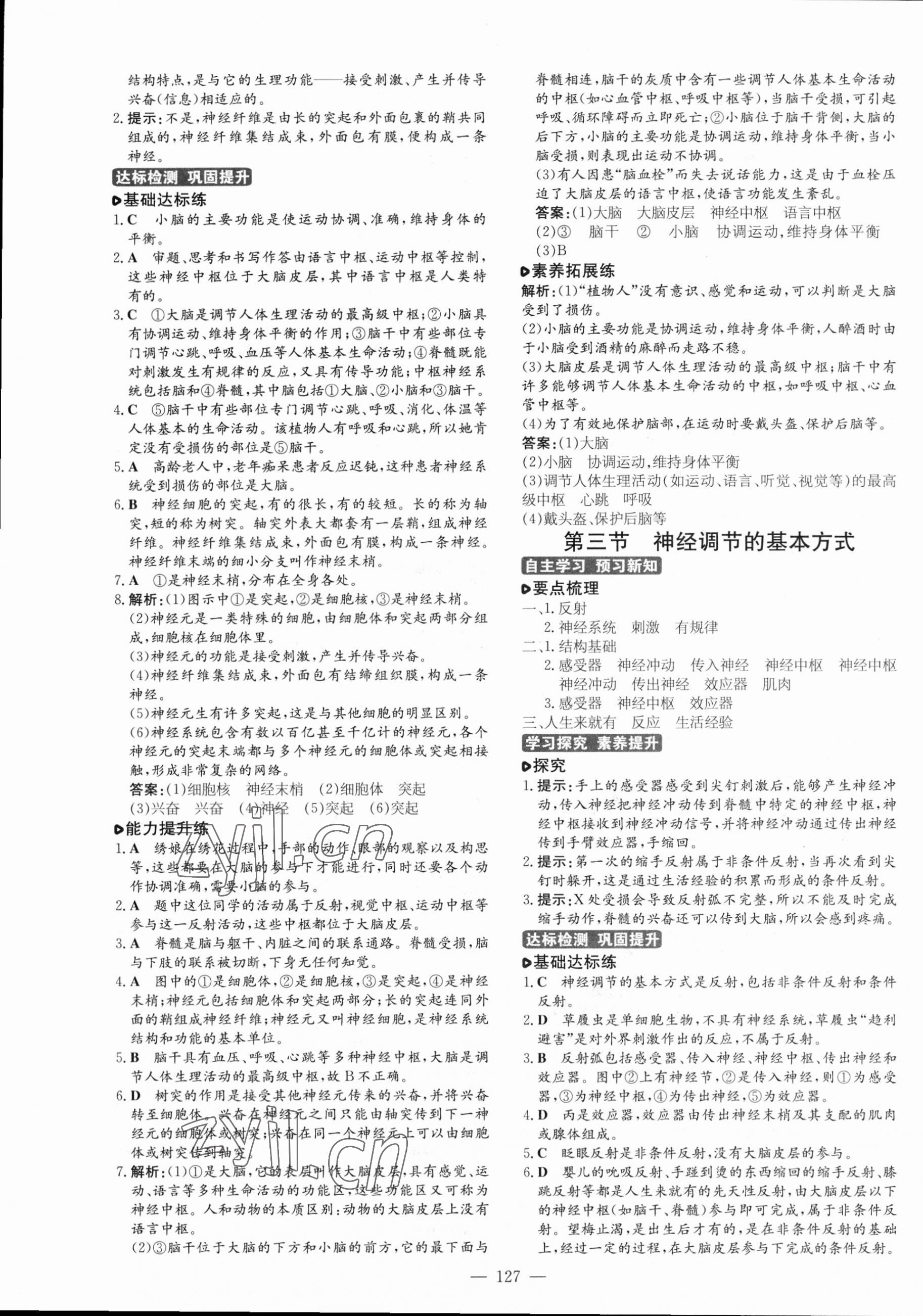 2023年练案七年级生物下册鲁科版54制 第3页