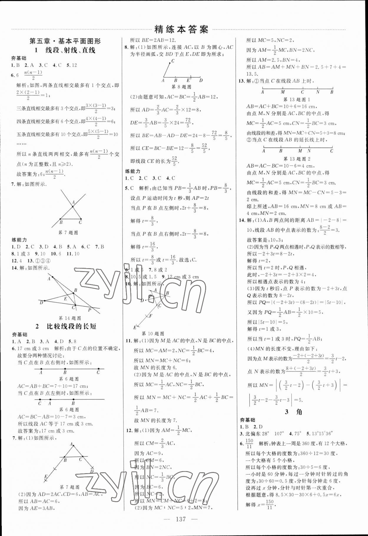 2023年細解巧練六年級數(shù)學(xué)下冊魯教版 參考答案第4頁