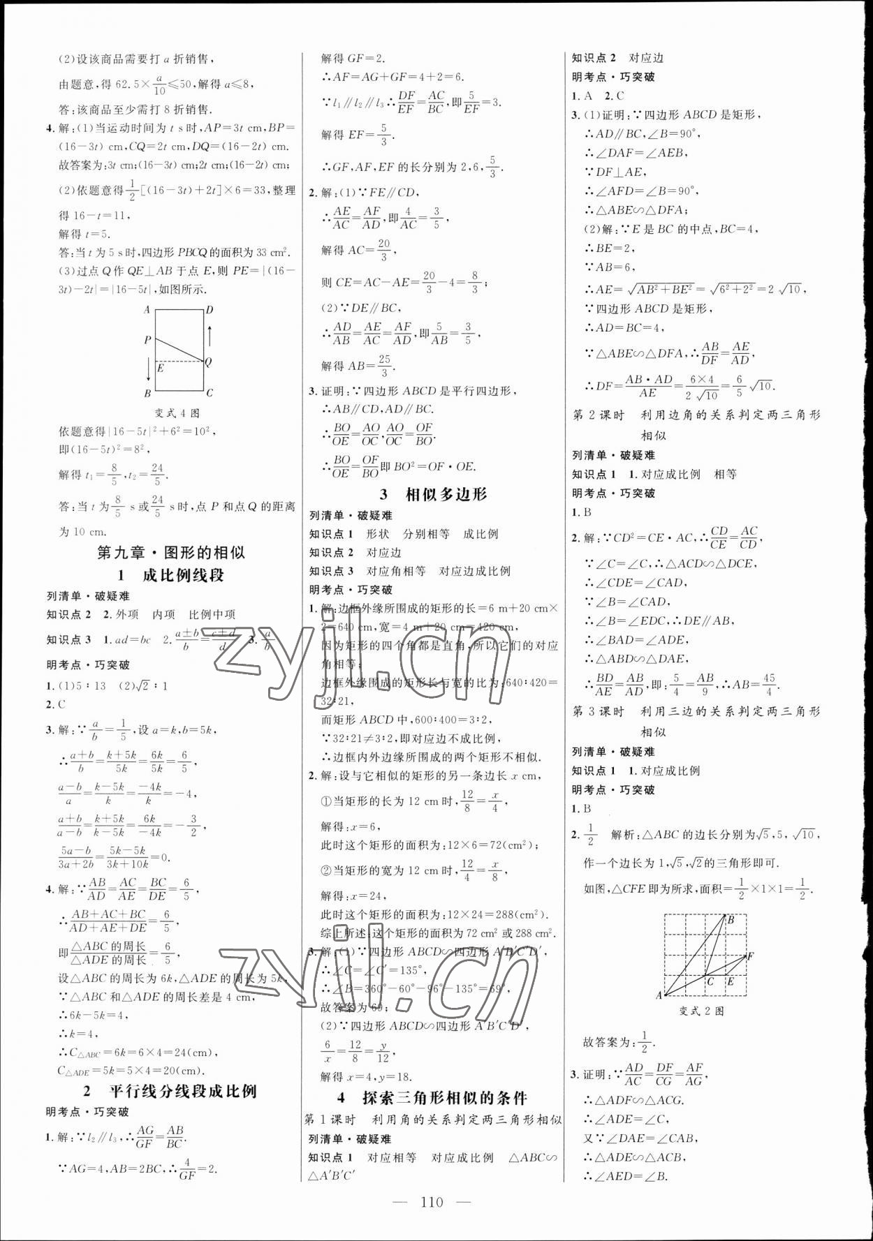 2023年细解巧练八年级数学下册鲁教版五四制 参考答案第5页