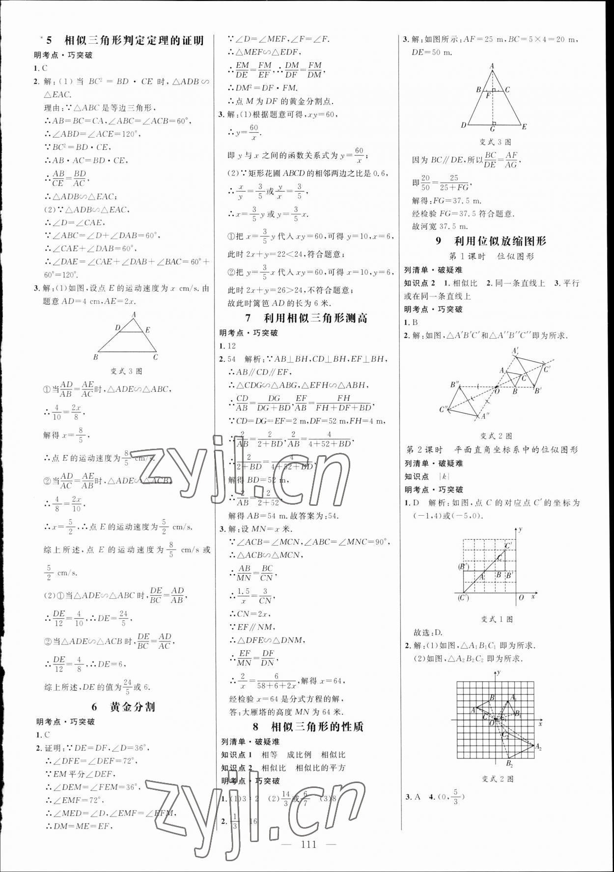 2023年细解巧练八年级数学下册鲁教版五四制 参考答案第6页