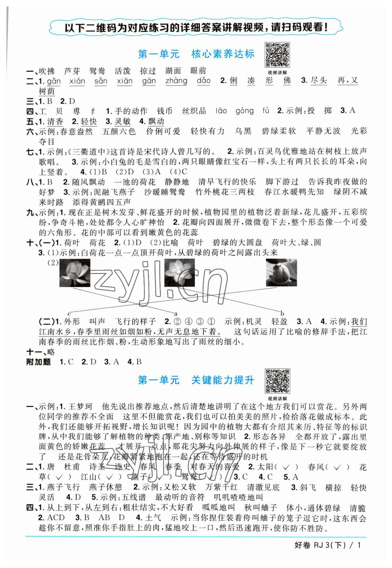 2023年陽(yáng)光同學(xué)一線名師全優(yōu)好卷三年級(jí)語(yǔ)文下冊(cè)人教版 參考答案第1頁(yè)