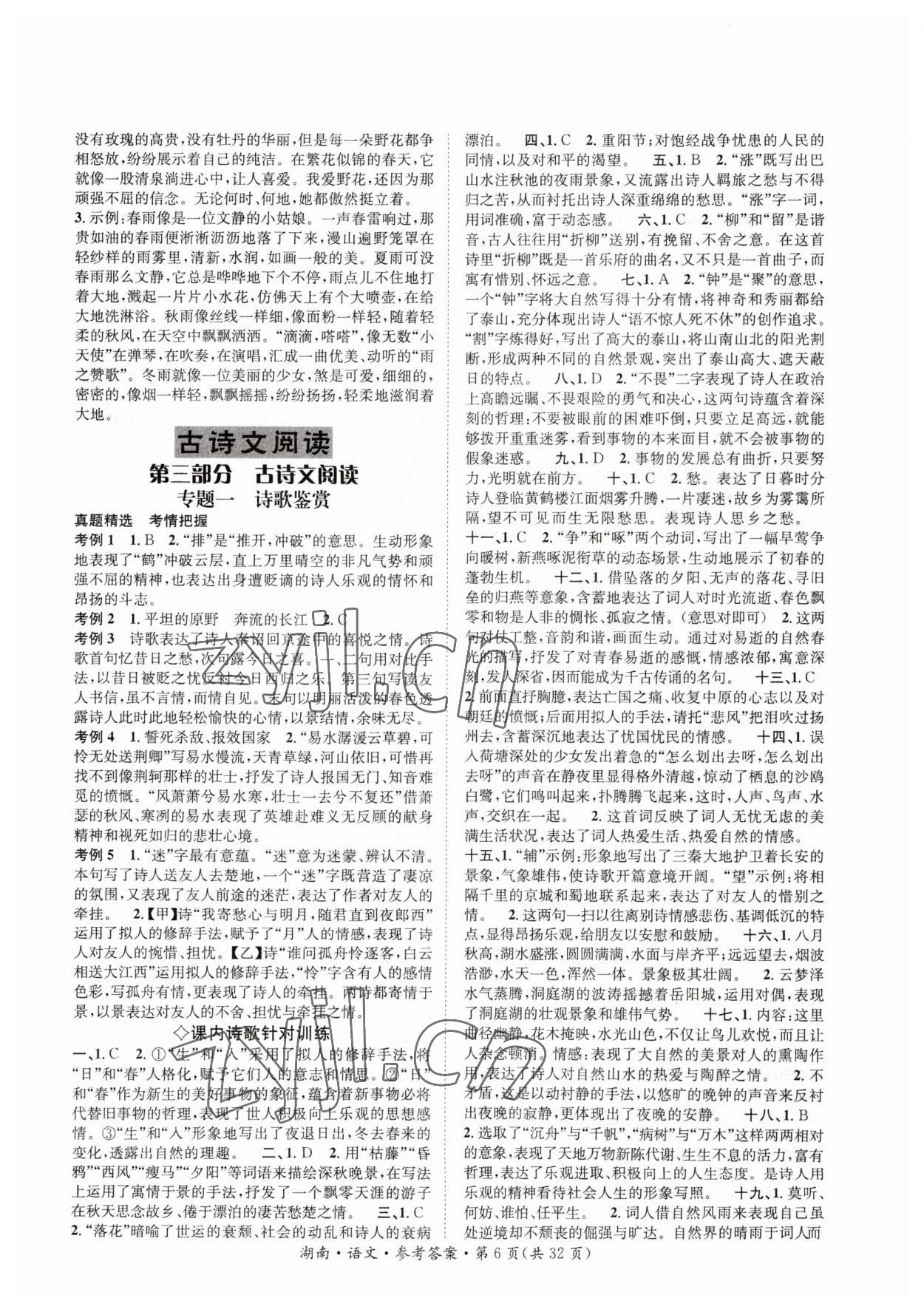 2023年解密中考語文湖南專版 第6頁