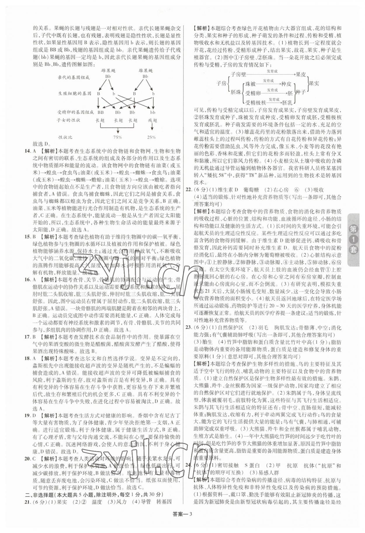 2023年领扬中考卷生物河南专版 参考答案第2页