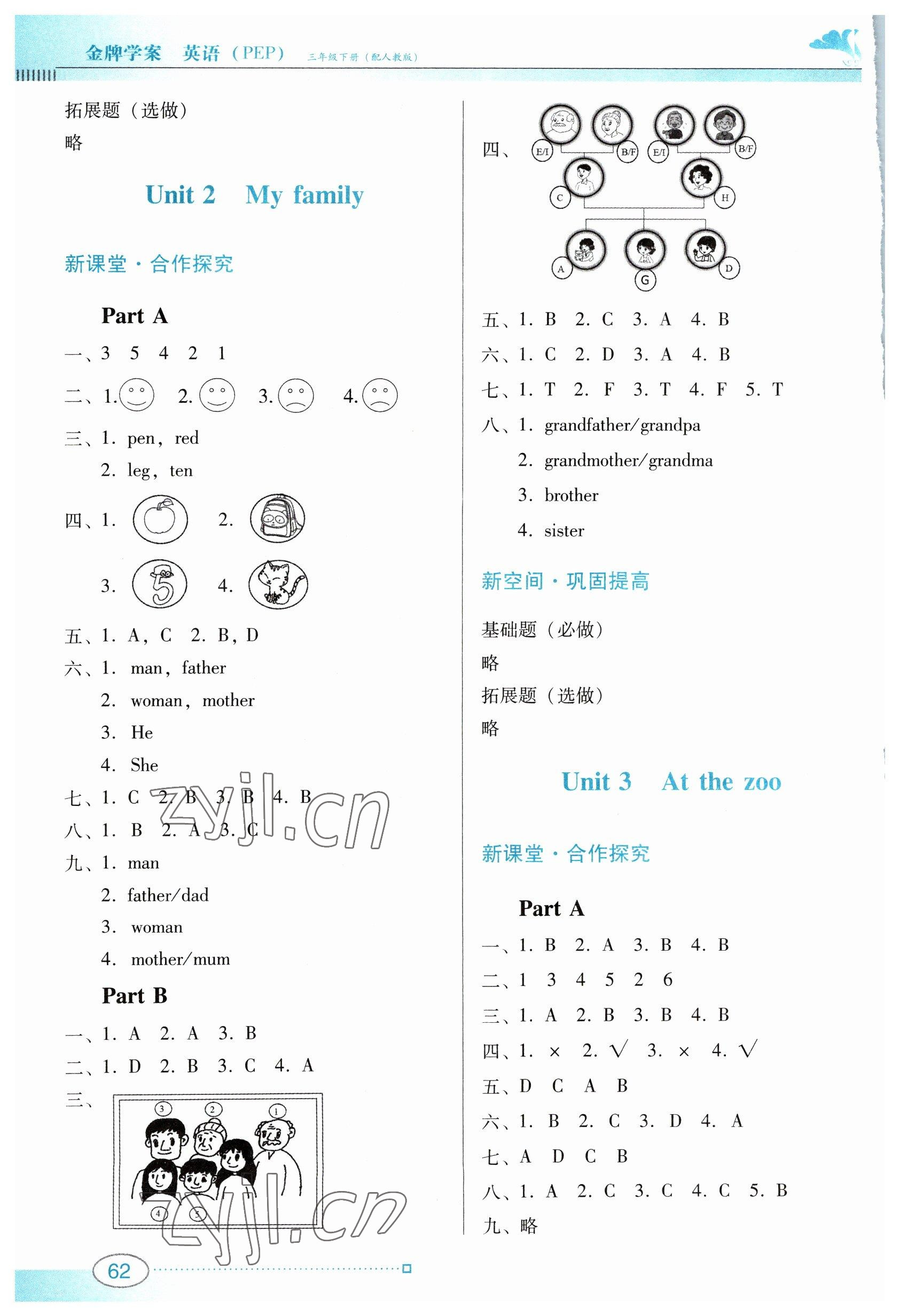 2023年南方新课堂金牌学案三年级英语下册人教版 参考答案第2页