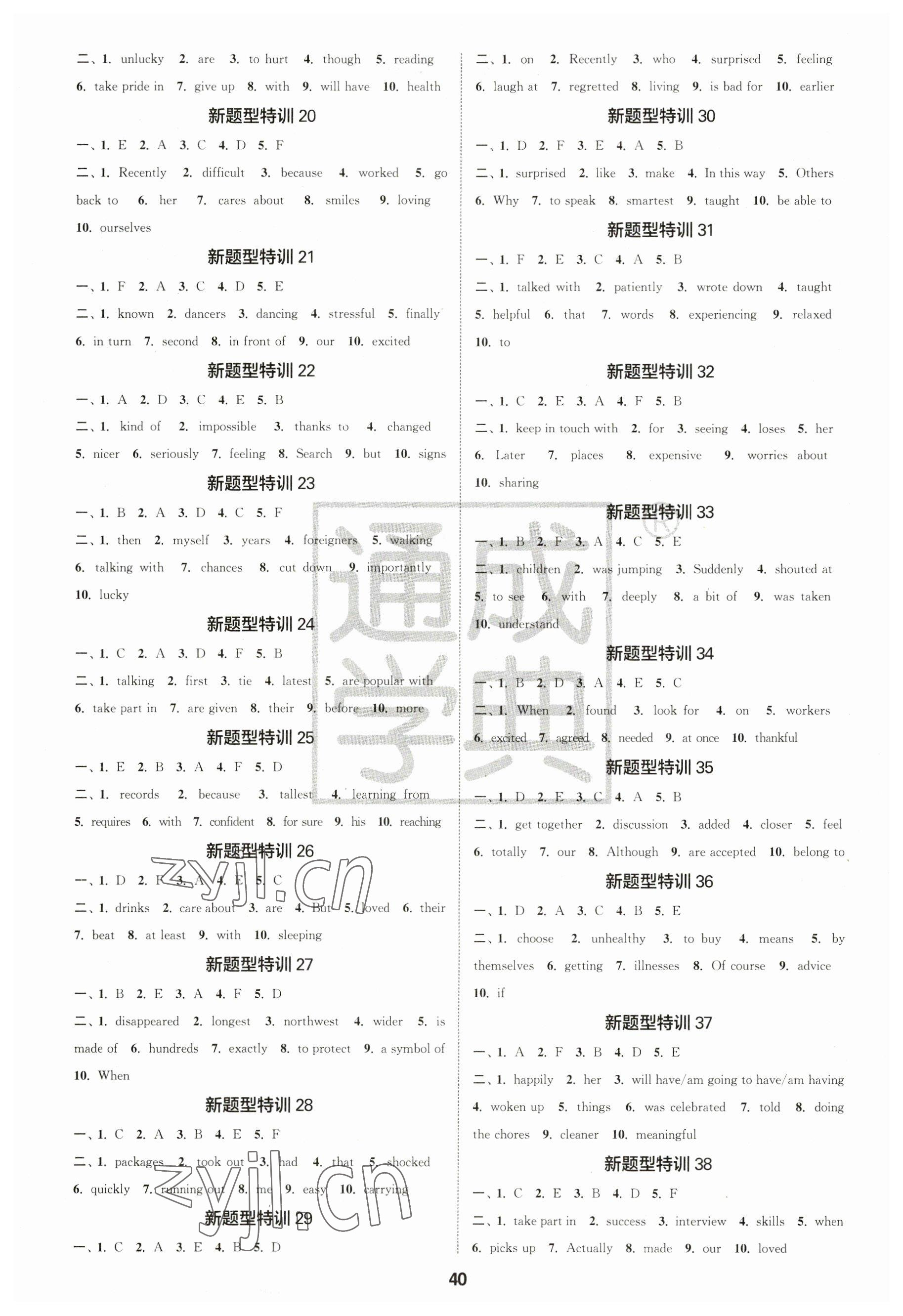 2023年通城學(xué)典中考總復(fù)習(xí)英語鹽城專版 第2頁