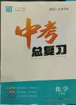 2023年通城学典中考总复习化学江苏专版