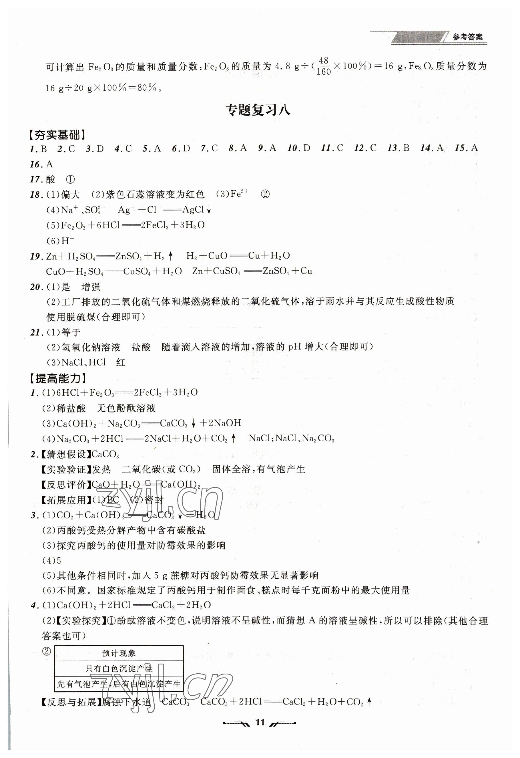 2023年中考全程復(fù)習(xí)訓(xùn)練化學(xué)大連專版 第11頁