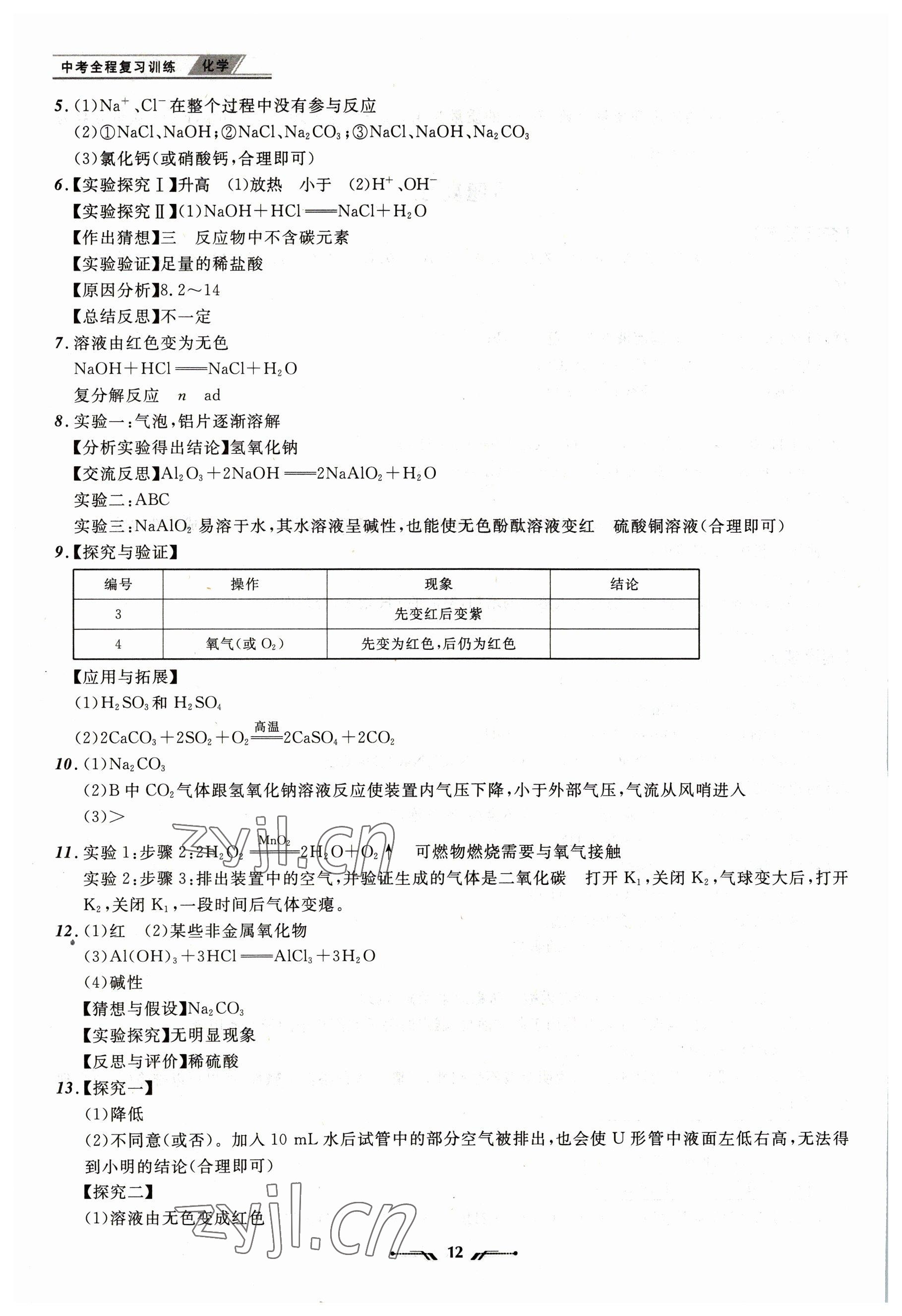 2023年中考全程復習訓練化學大連專版 第12頁