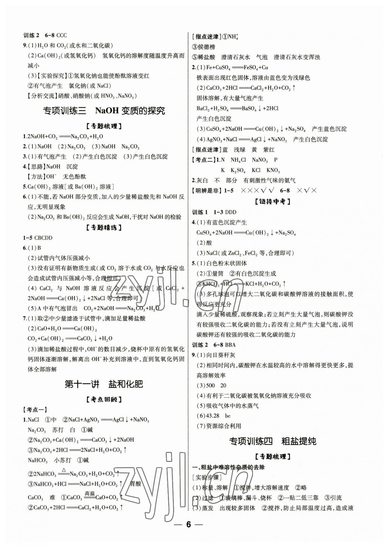 2023年新啟航中考復(fù)習(xí)指南化學(xué)福建專版 第5頁