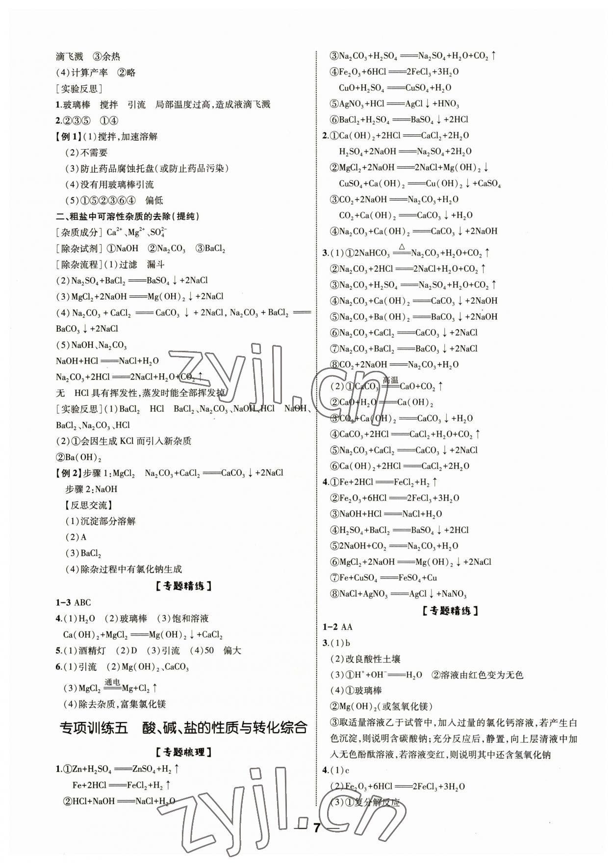 2023年新啟航中考復(fù)習(xí)指南化學(xué)福建專(zhuān)版 第6頁(yè)
